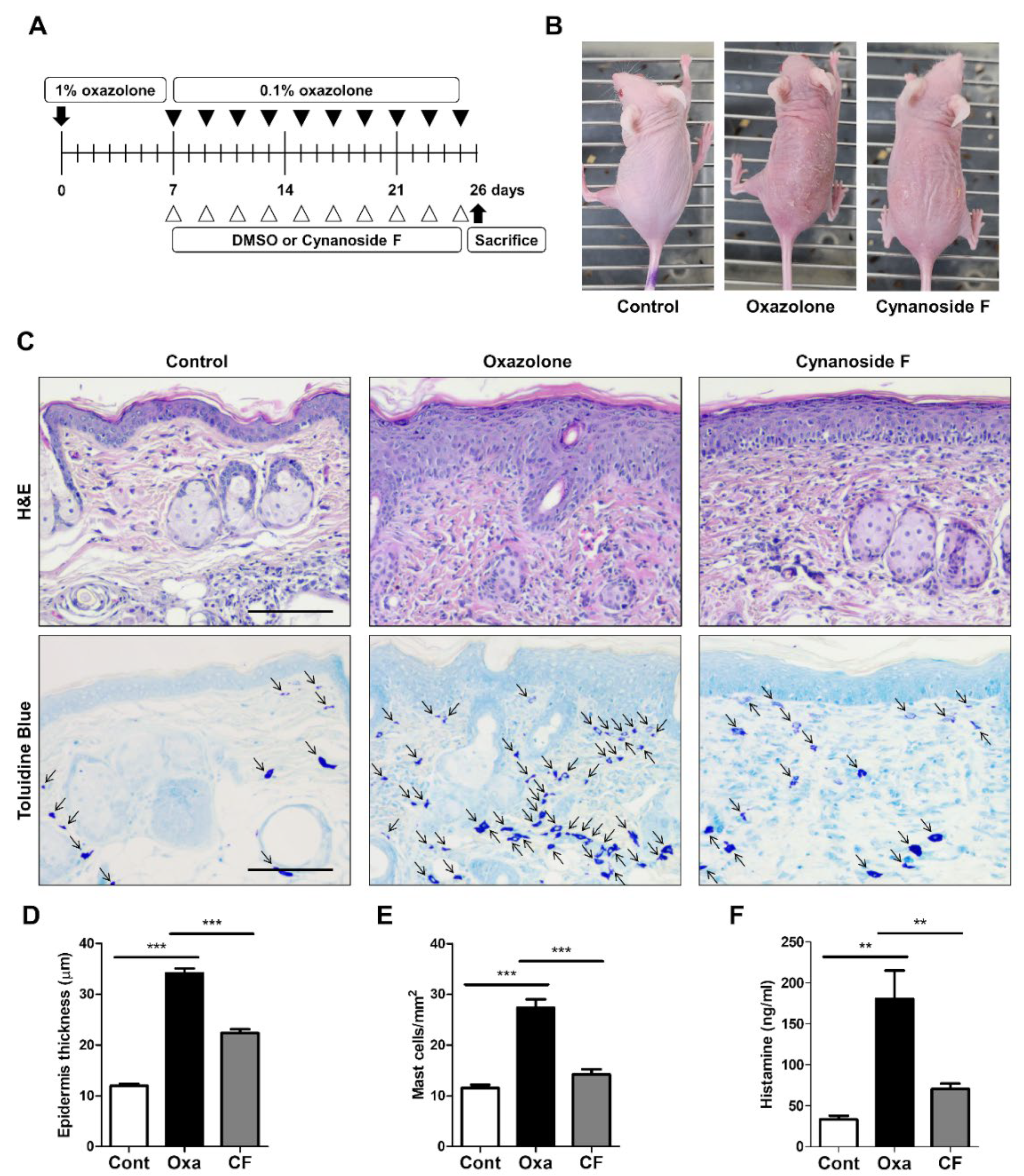Antioxidants 11 01740 g004