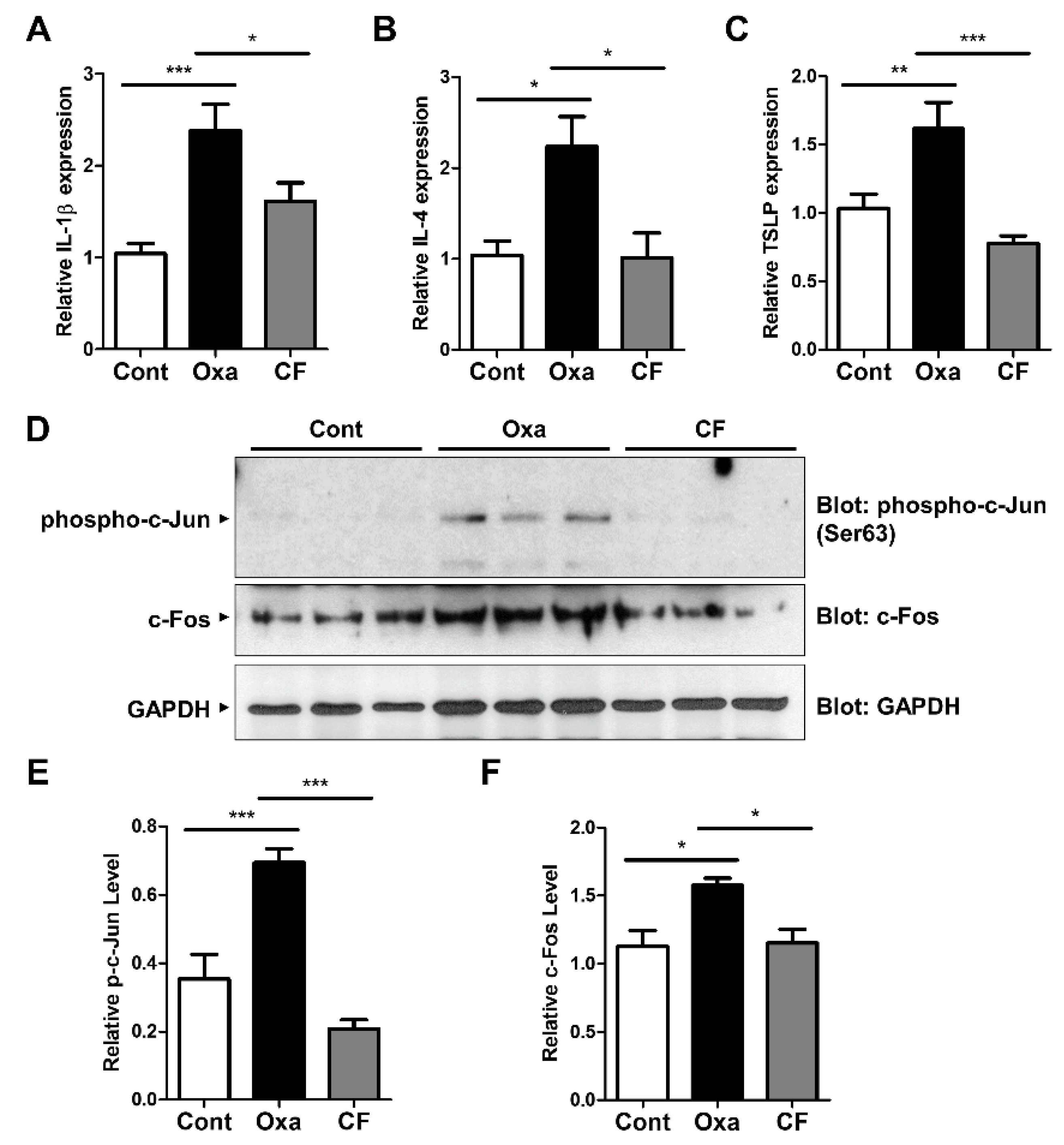 Antioxidants 11 01740 g005