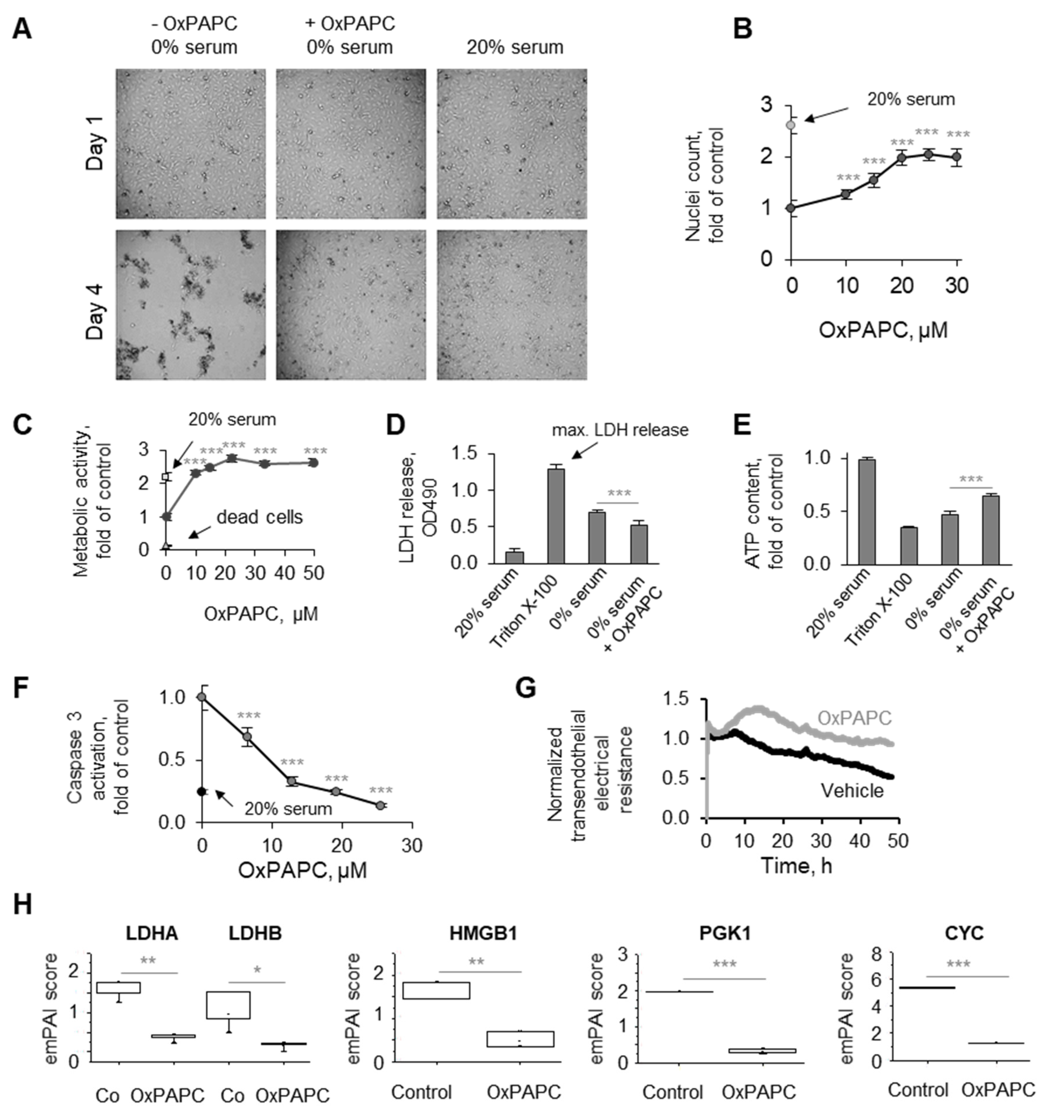 Antioxidants 11 01741 g001
