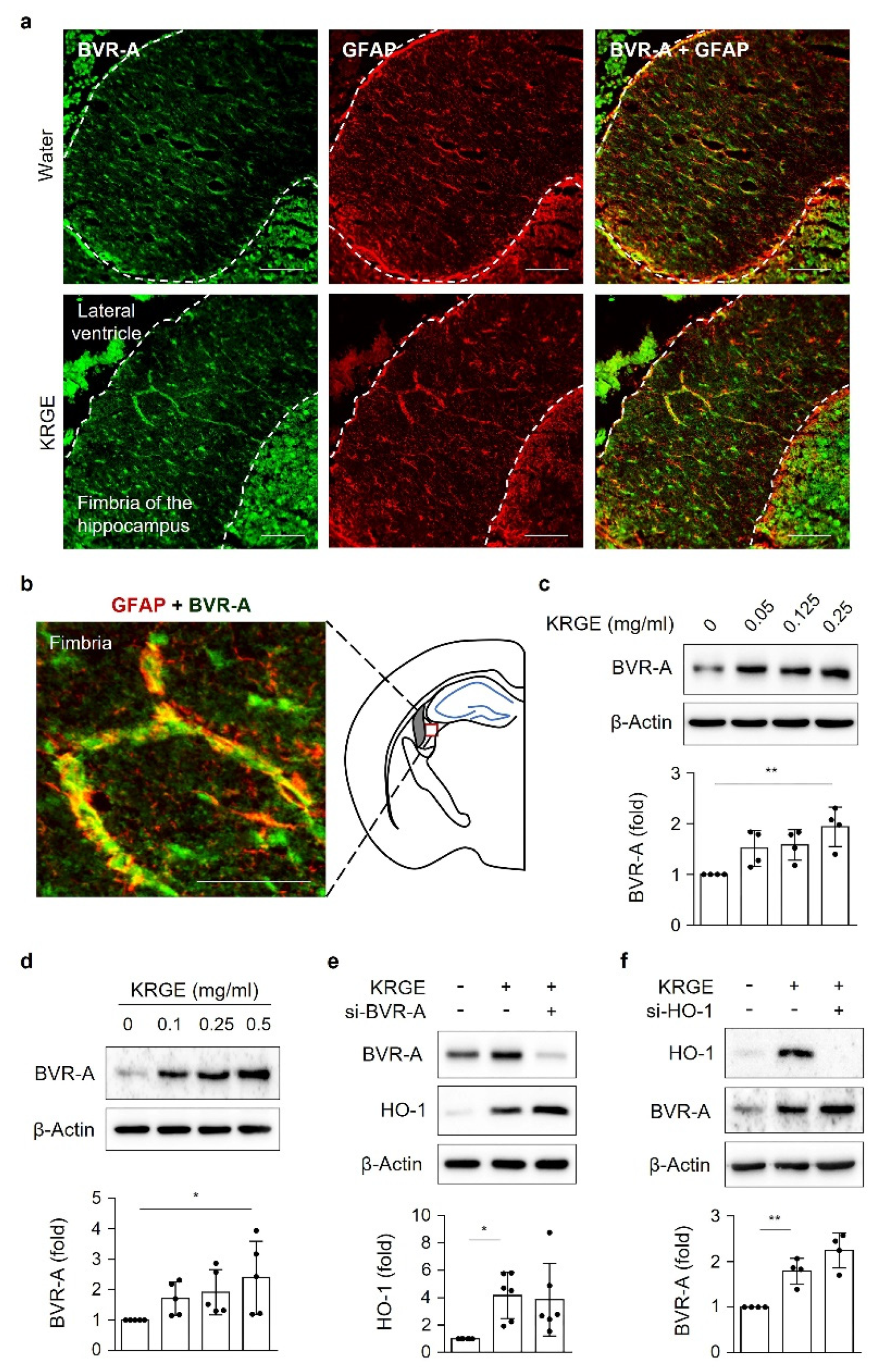 Antioxidants 11 01742 g001