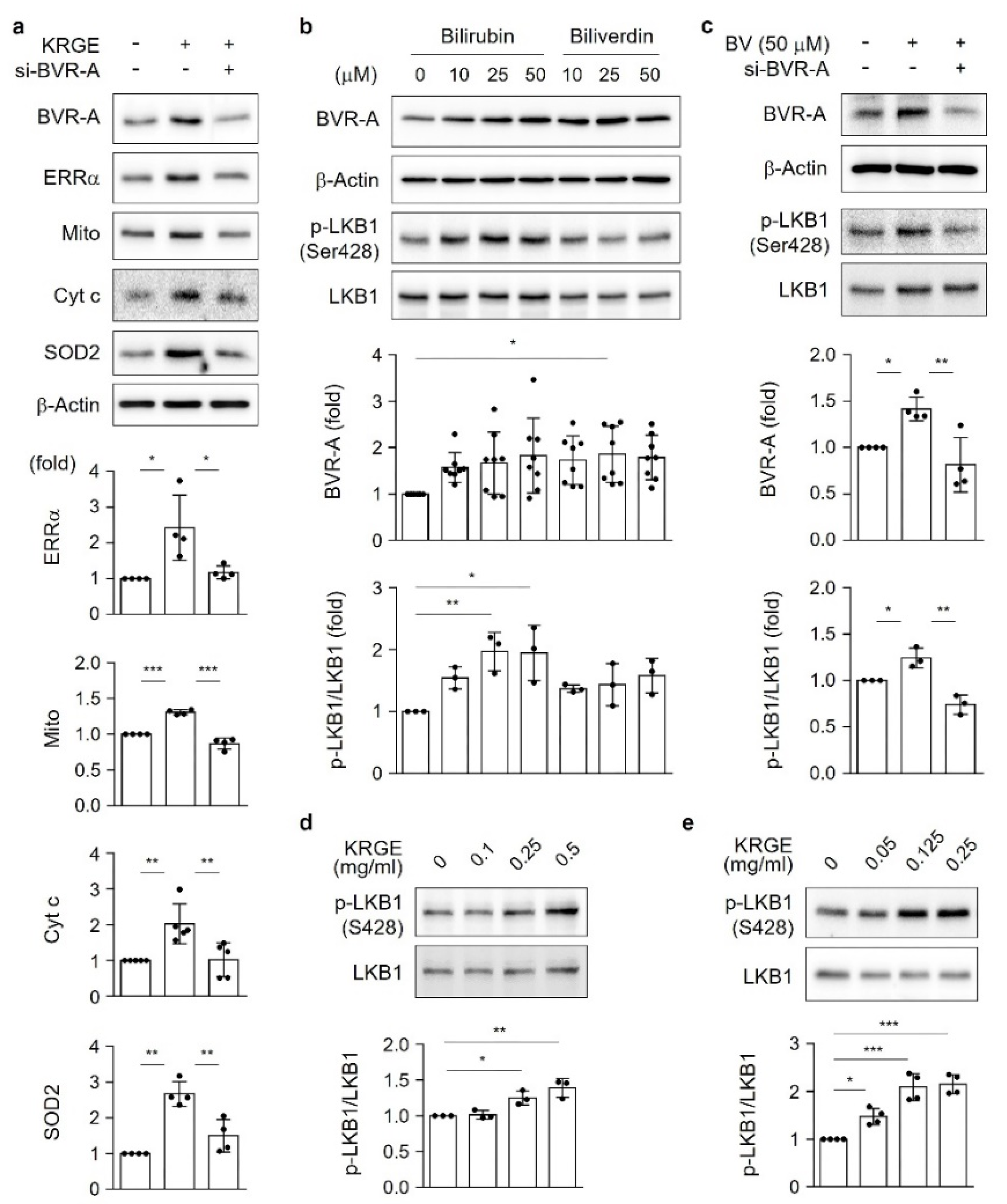 Antioxidants 11 01742 g003