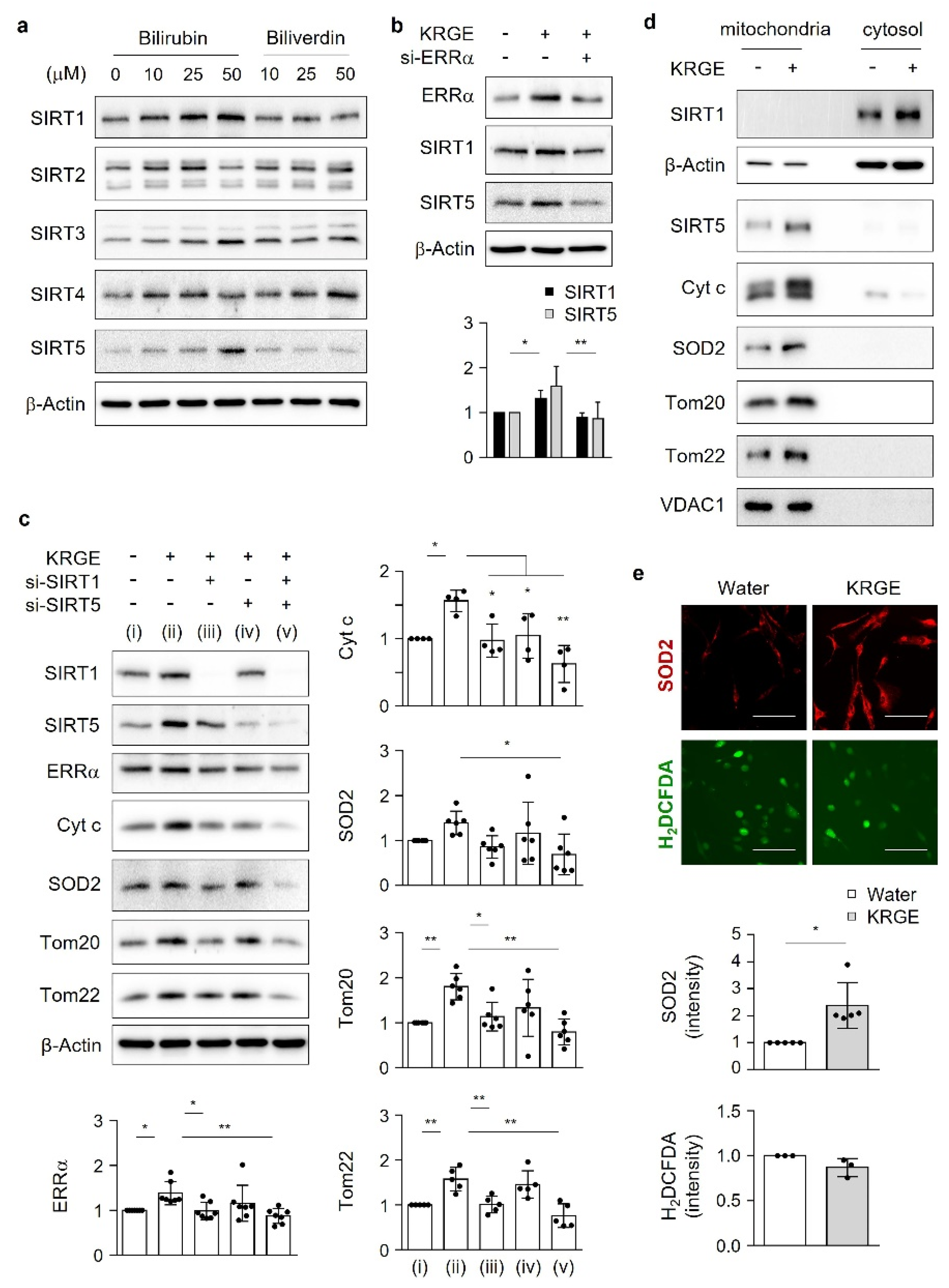 Antioxidants 11 01742 g005