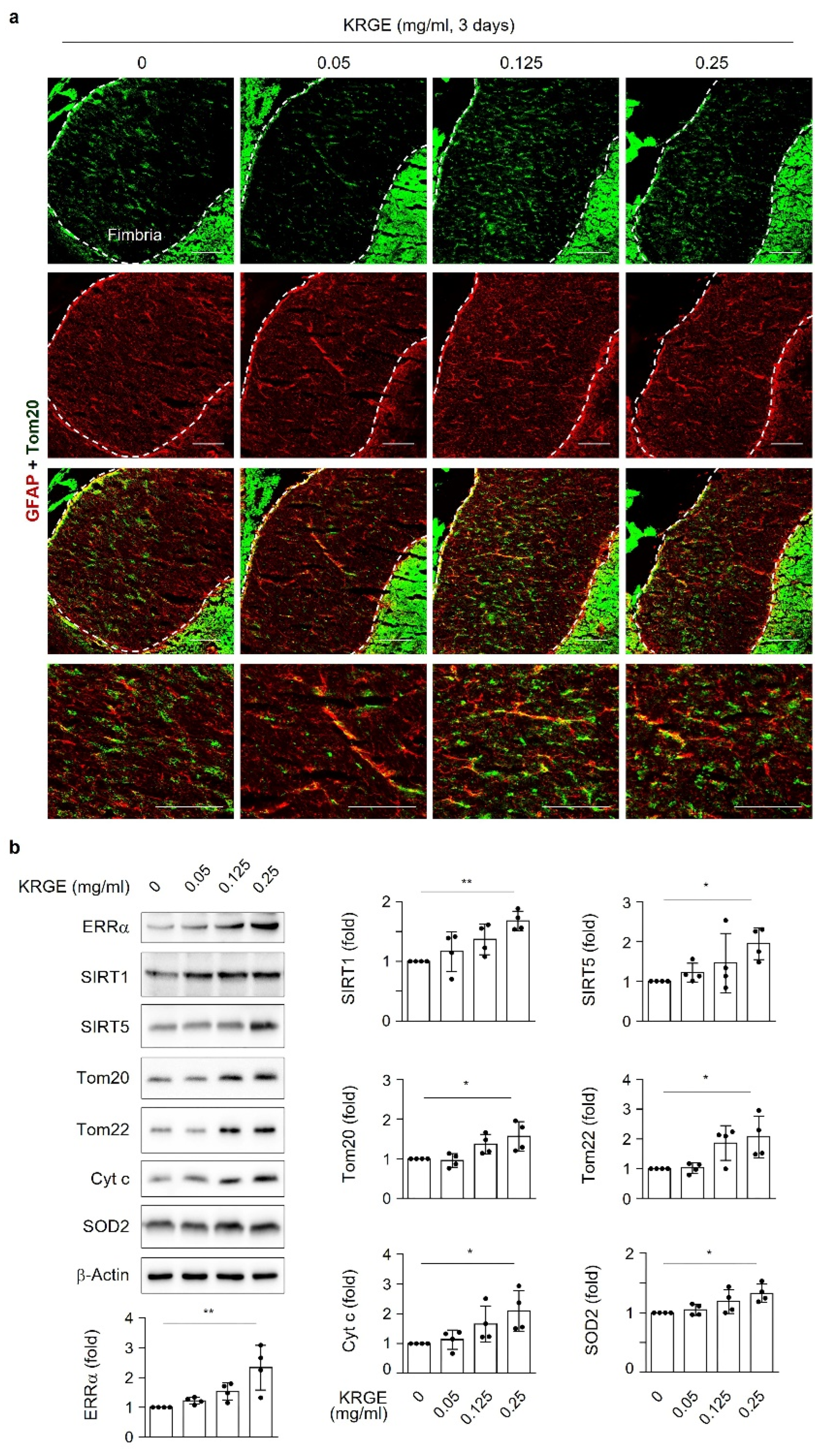 Antioxidants 11 01742 g008