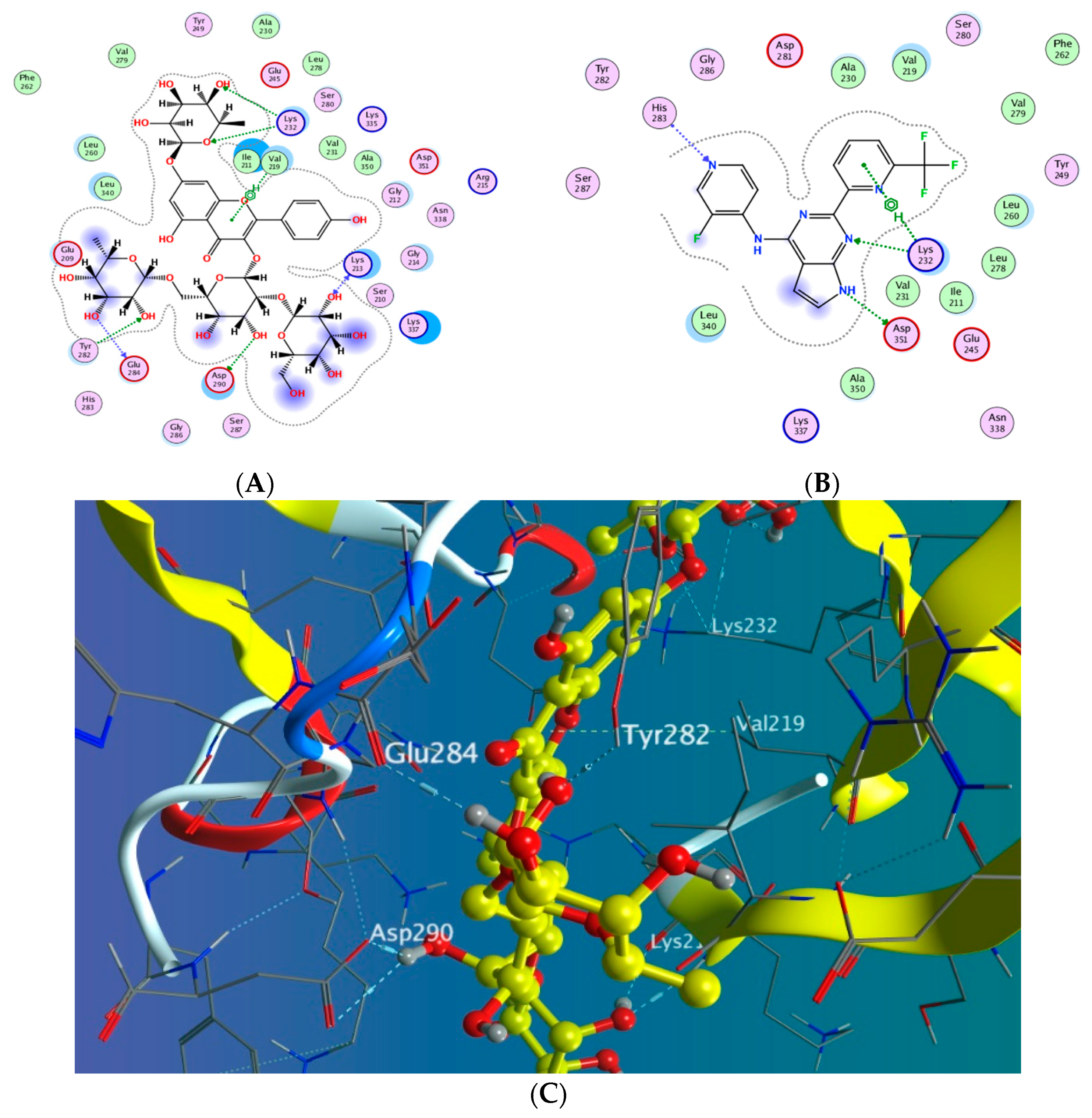 Antioxidants 11 01743 g009 550