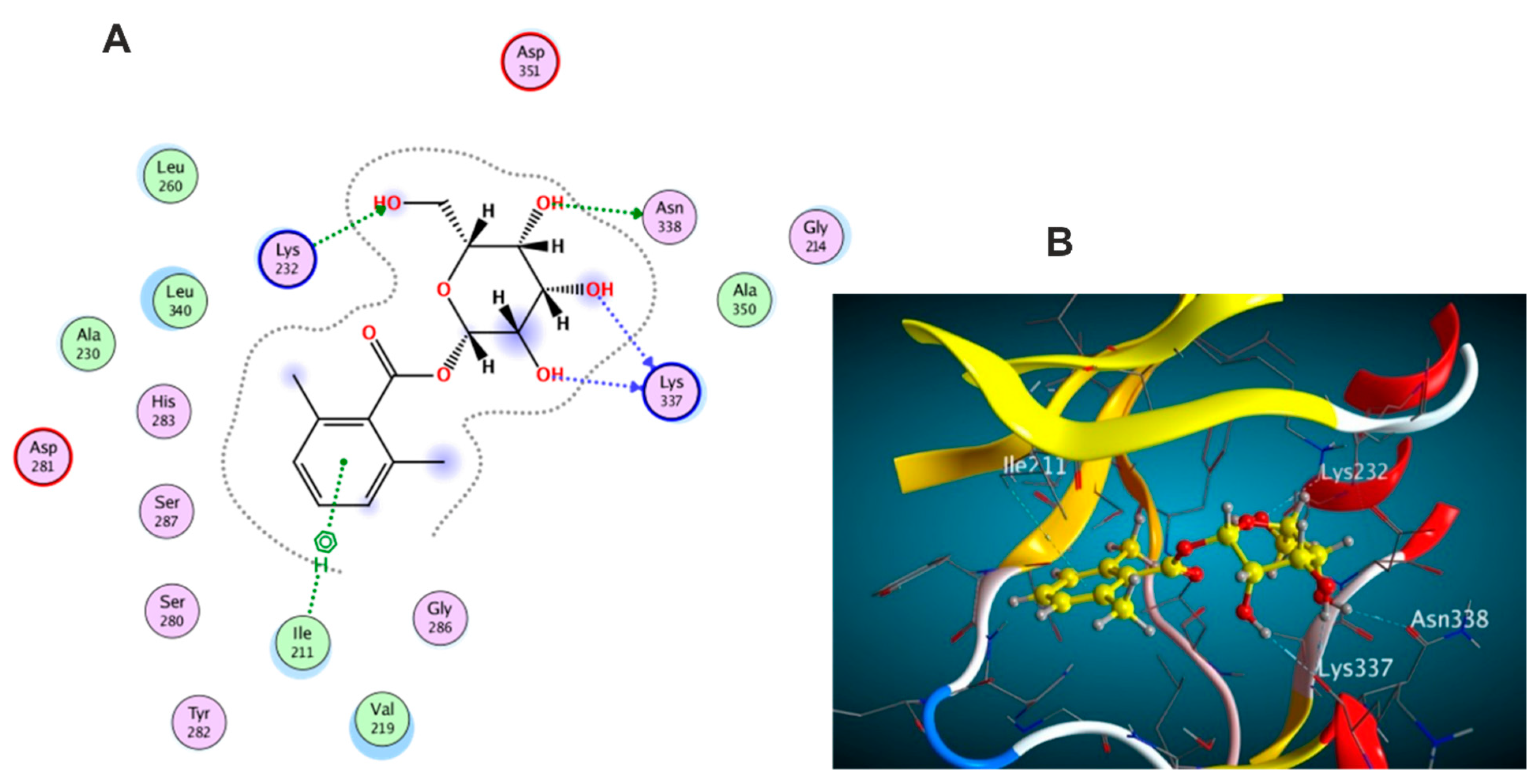 Antioxidants 11 01743 g010 550