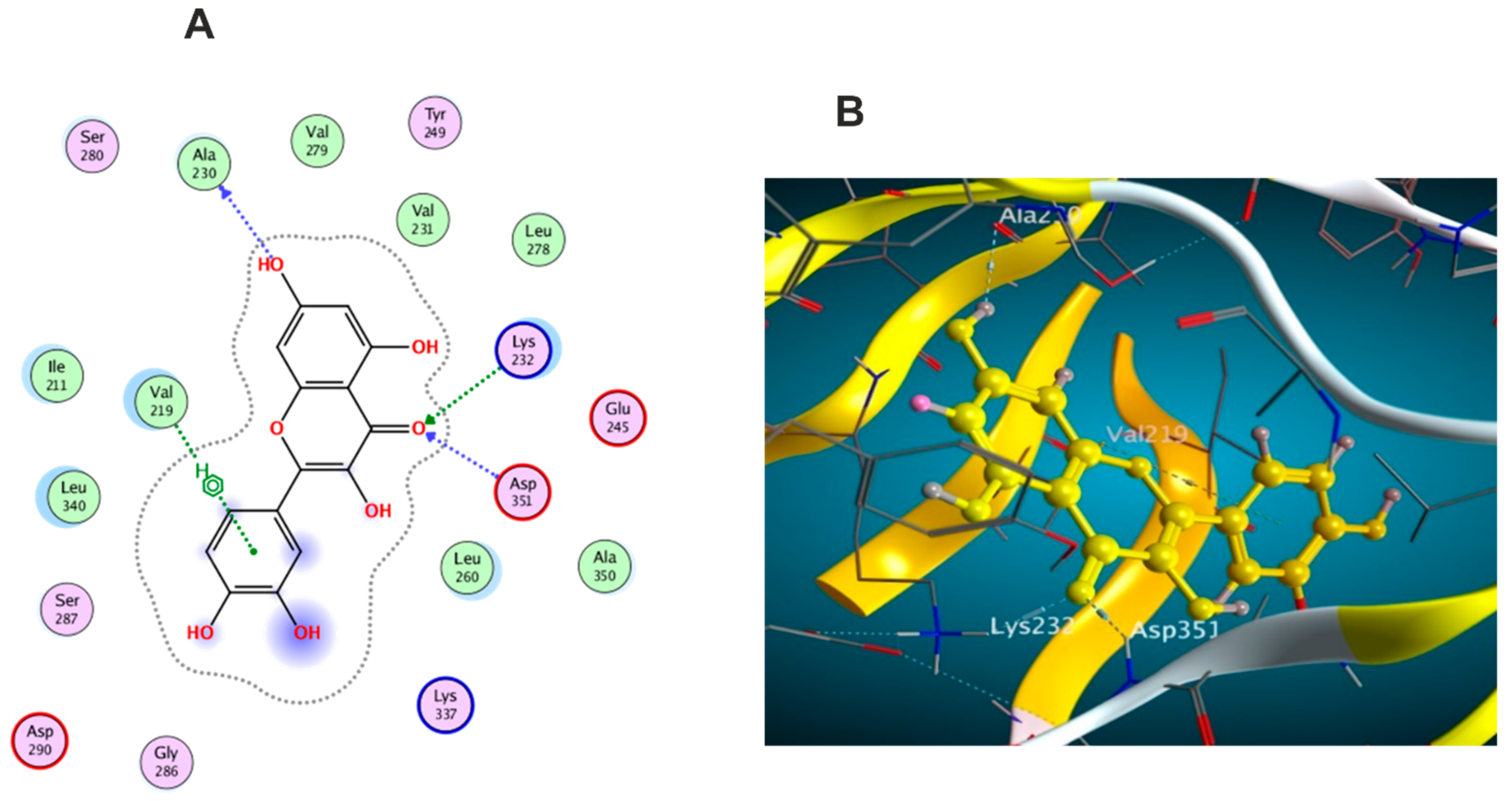 Antioxidants 11 01743 g011 550