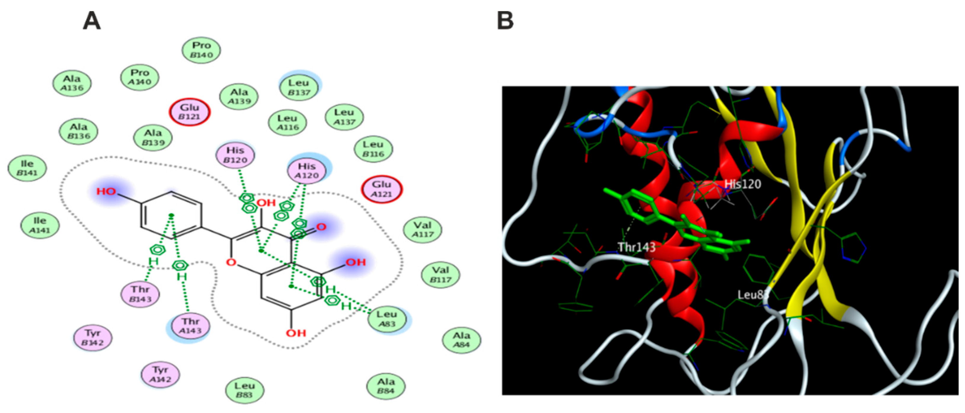 Antioxidants 11 01743 g021 550