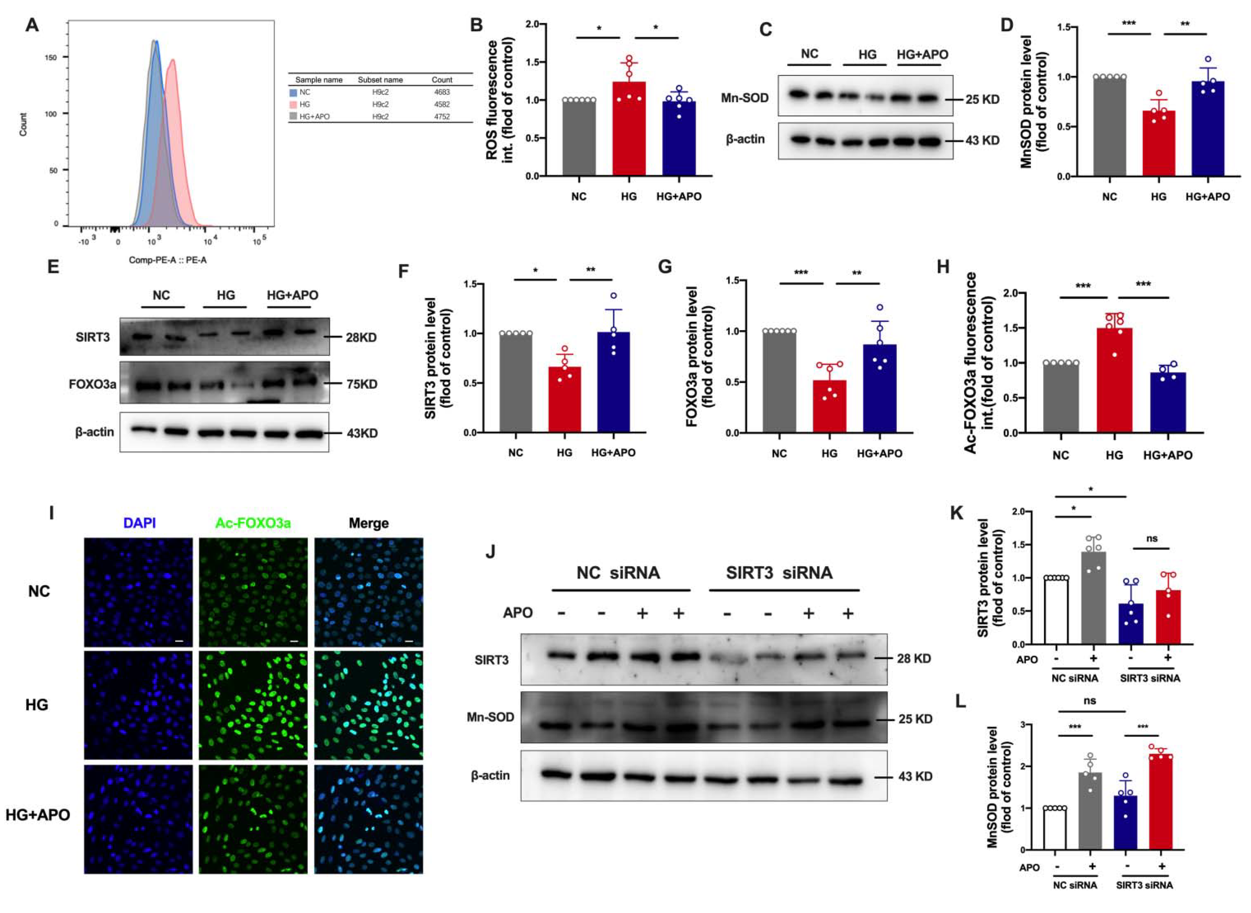 Antioxidants 11 01745 g005