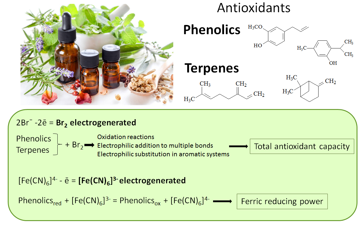 Antioxidants Free FullText ConstantCurrent Coulometry with