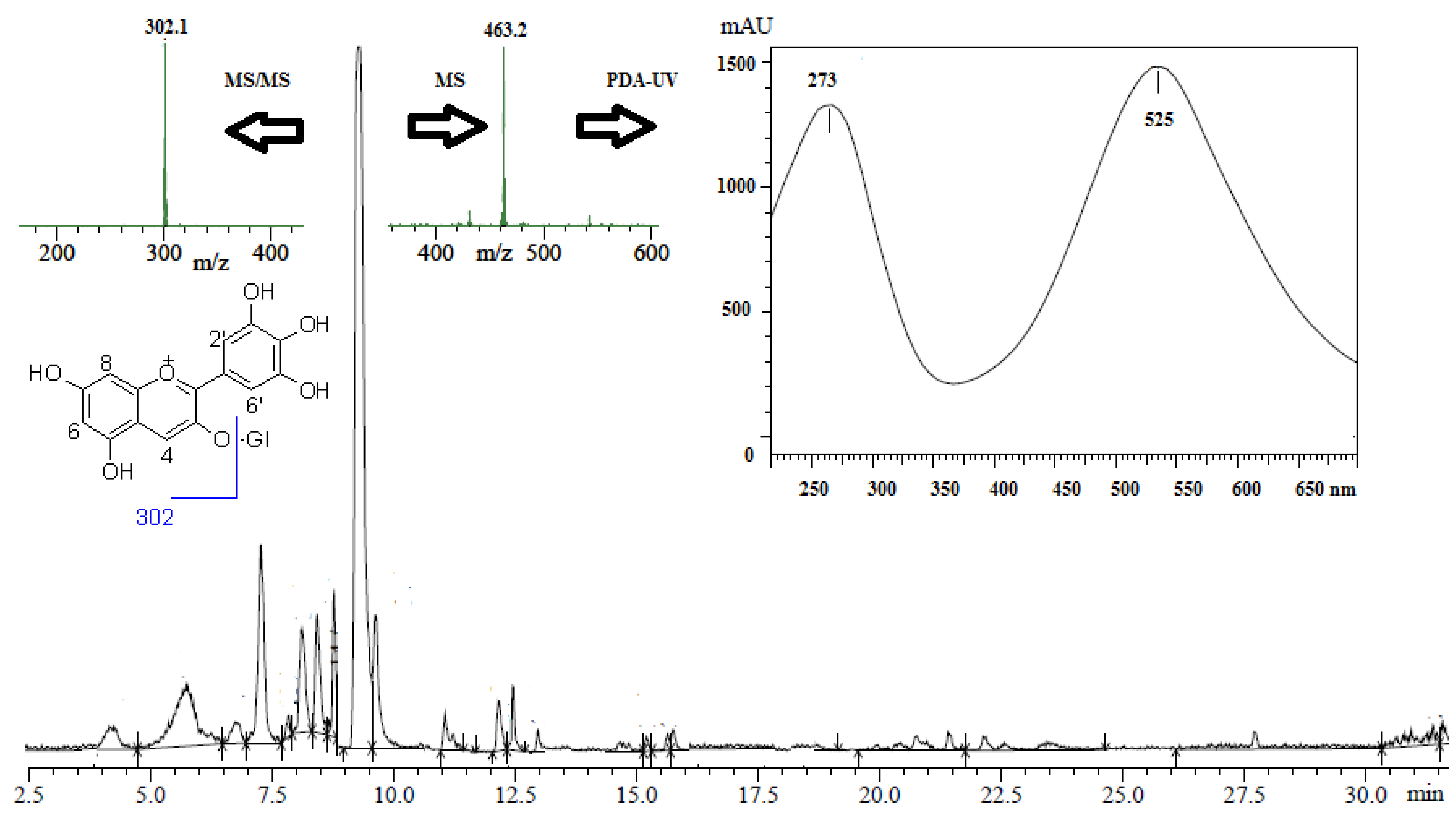 Antioxidants 11 01752 g001 Antioxidants 11 01752 g001