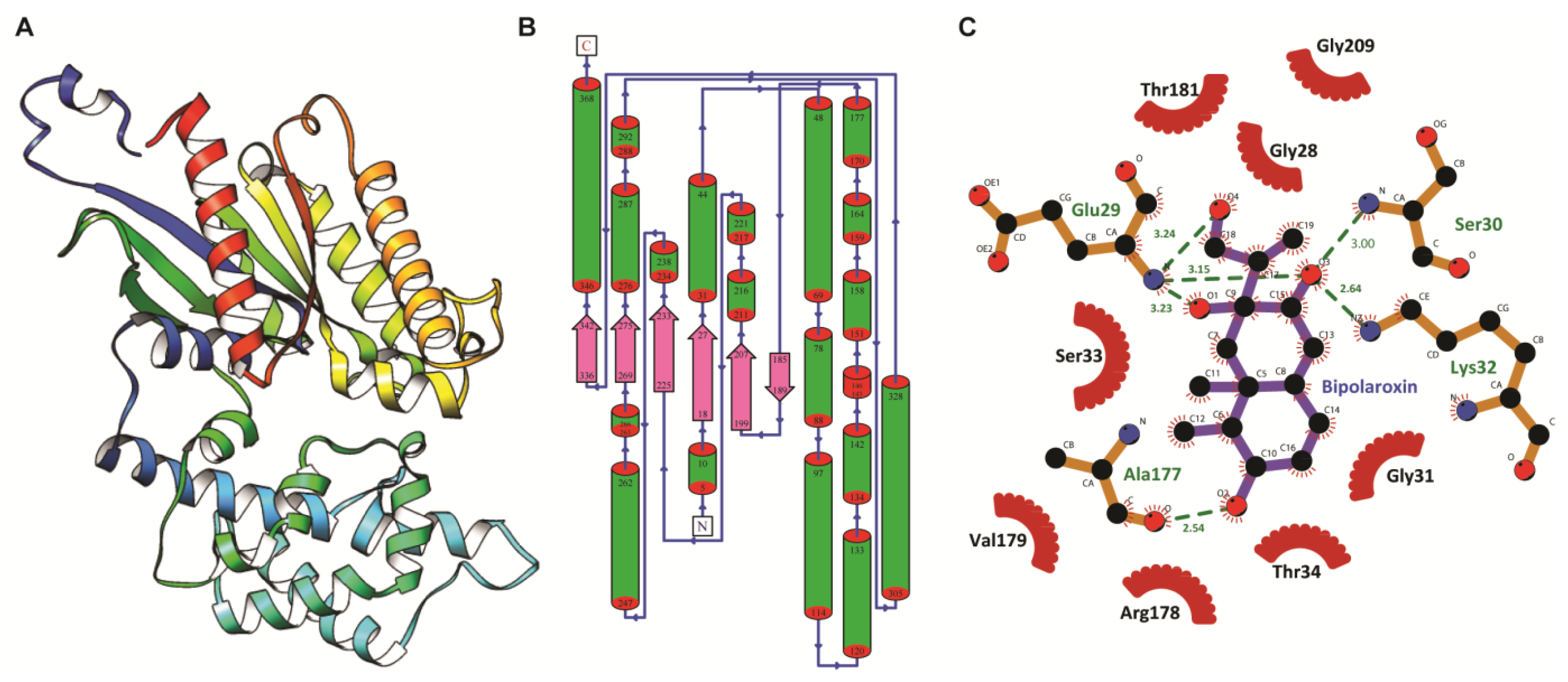 Antioxidants 11 01754 g001 Antioxidants 11 01754 g001