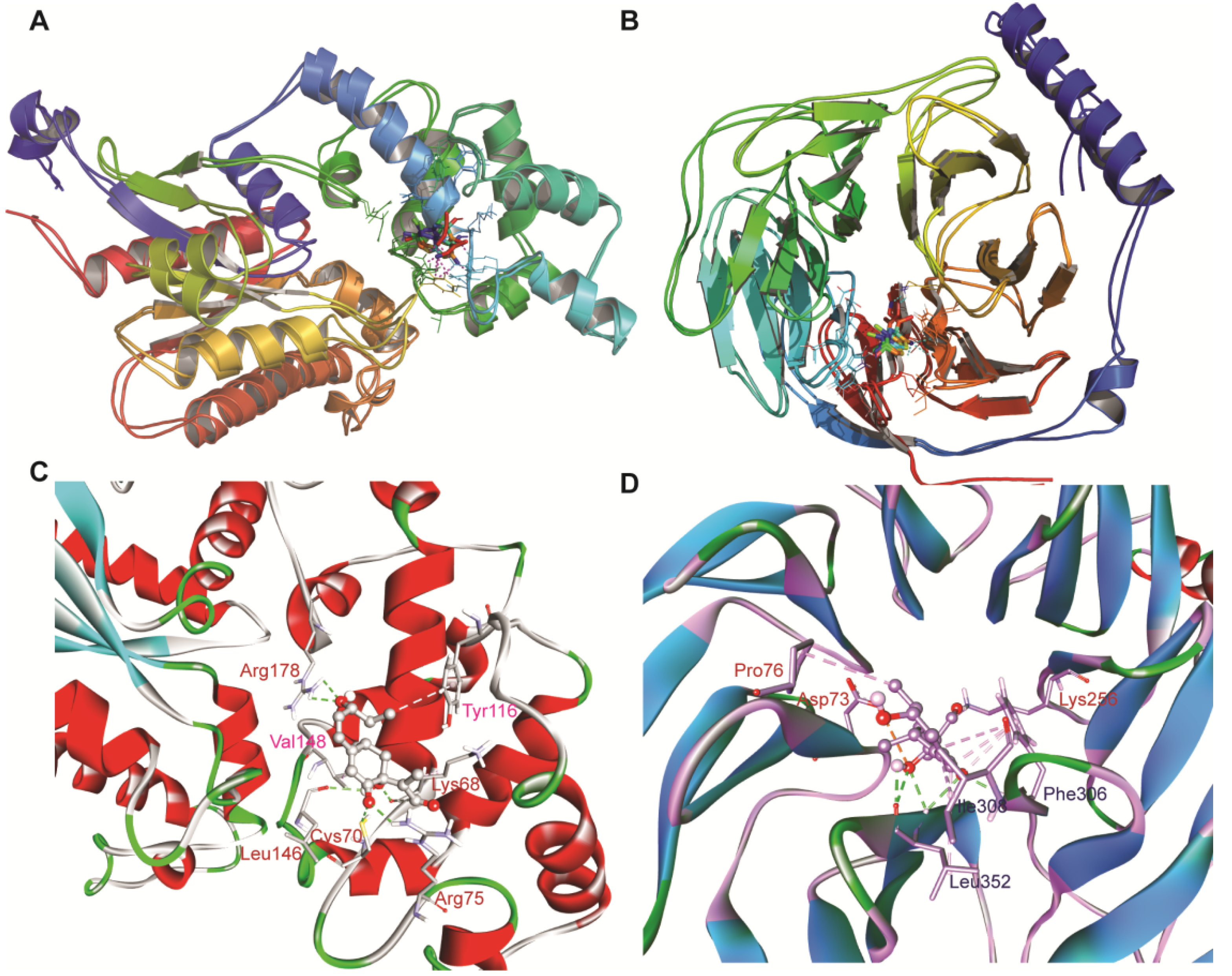 Antioxidants 11 01754 g007 Antioxidants 11 01754 g007