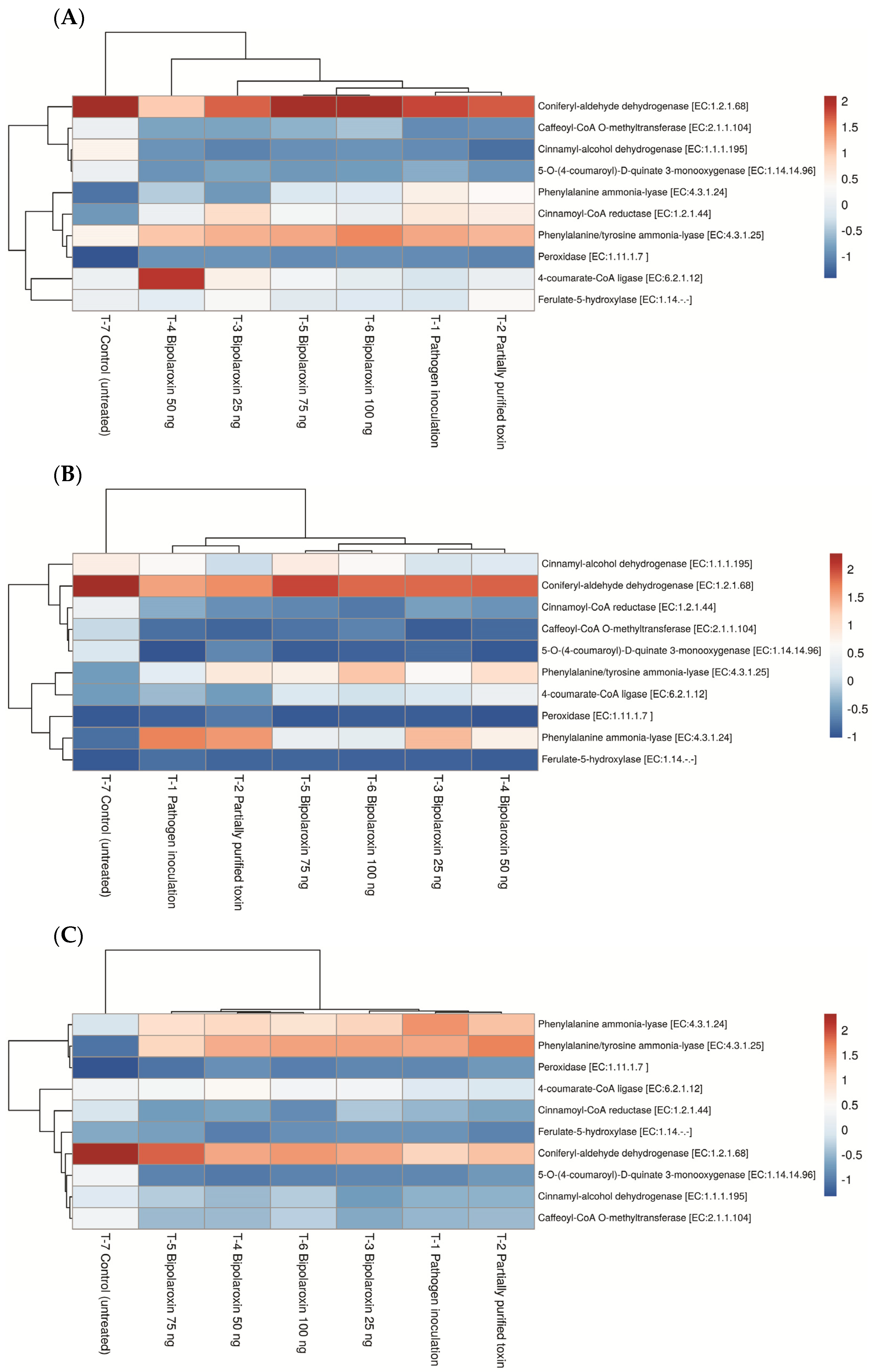 Antioxidants 11 01754 g011 Antioxidants 11 01754 g011