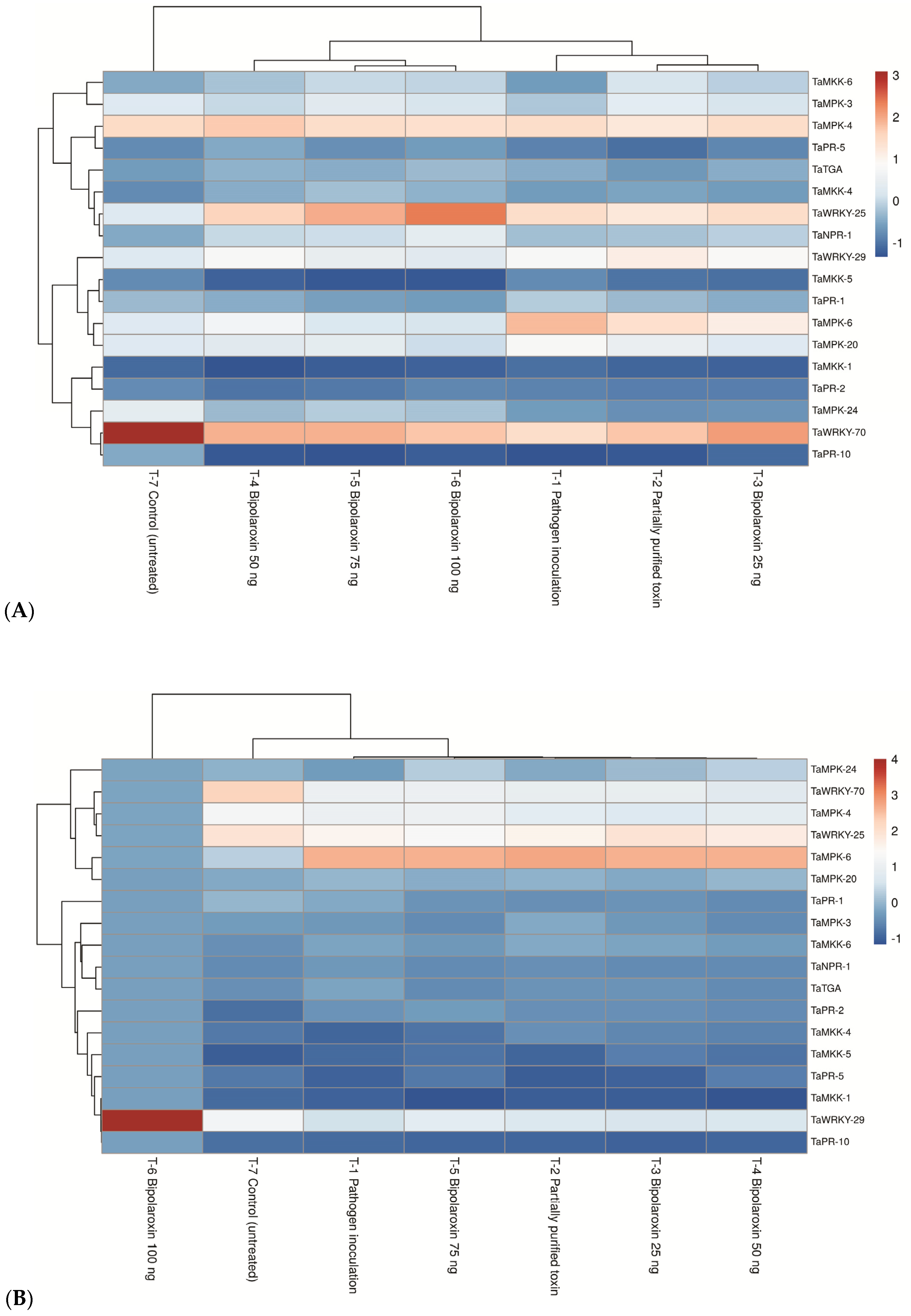 Antioxidants 11 01754 g012a Antioxidants 11 01754 g012a