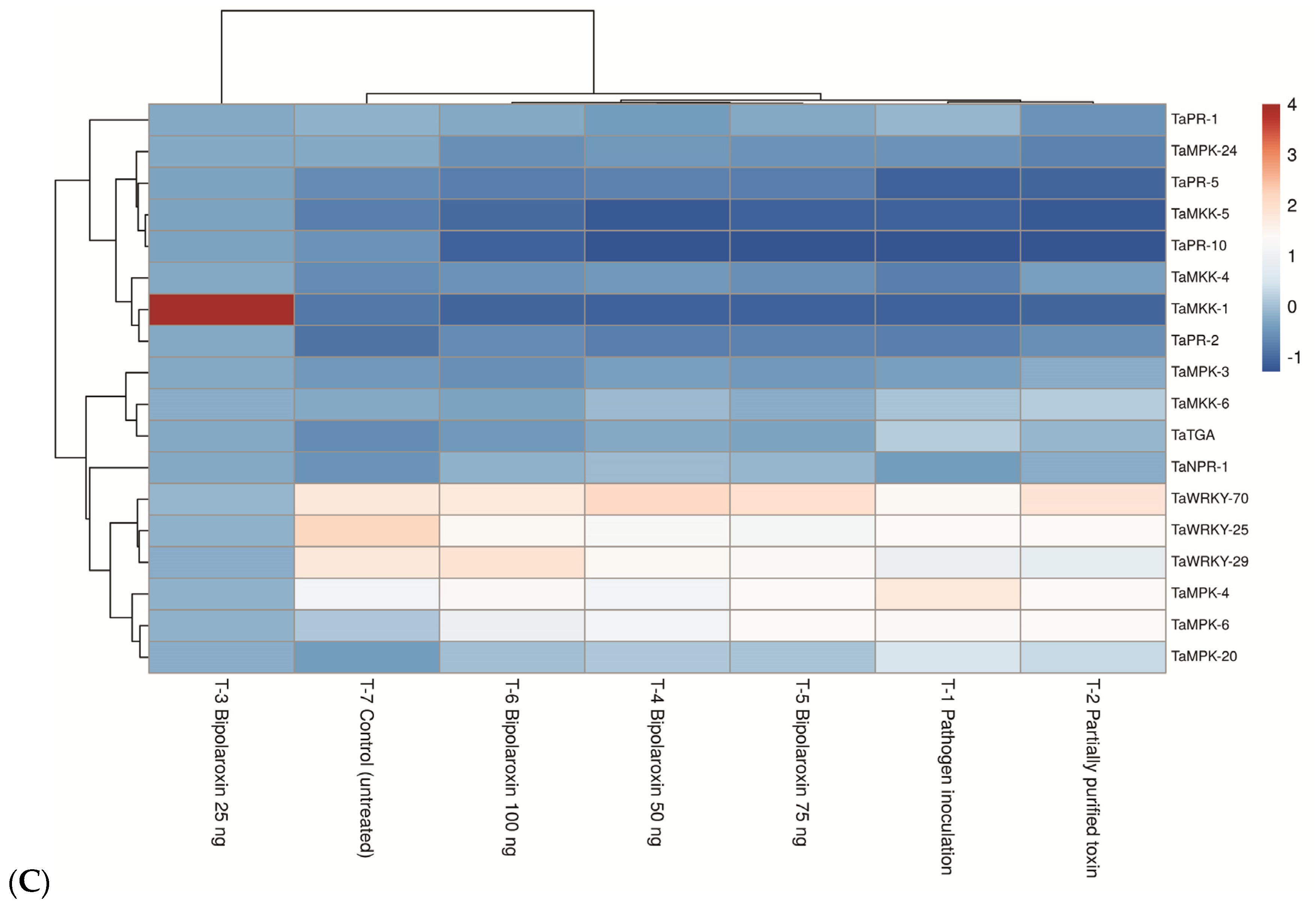 Antioxidants 11 01754 g012b Antioxidants 11 01754 g012b