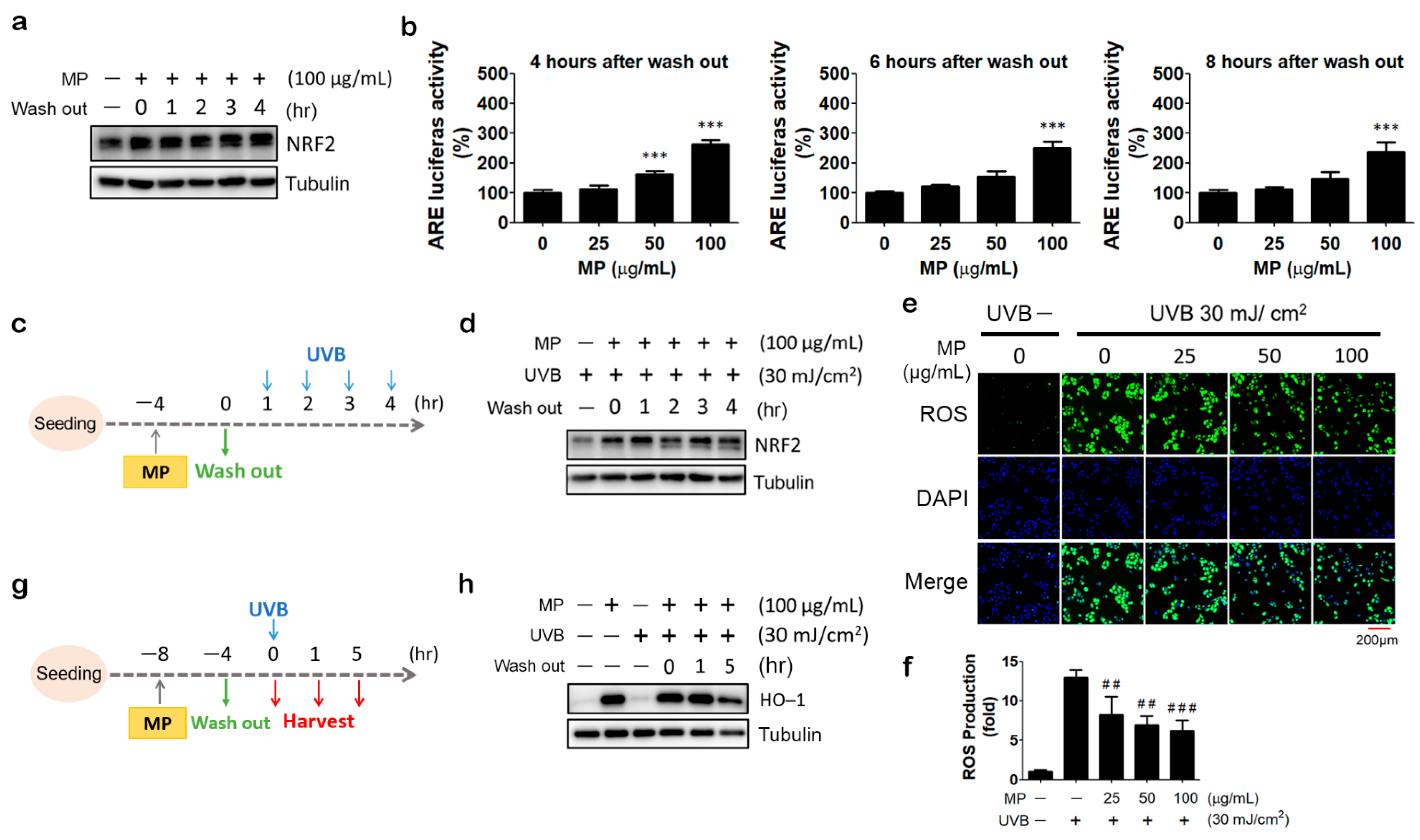 Antioxidants 11 01755 g003