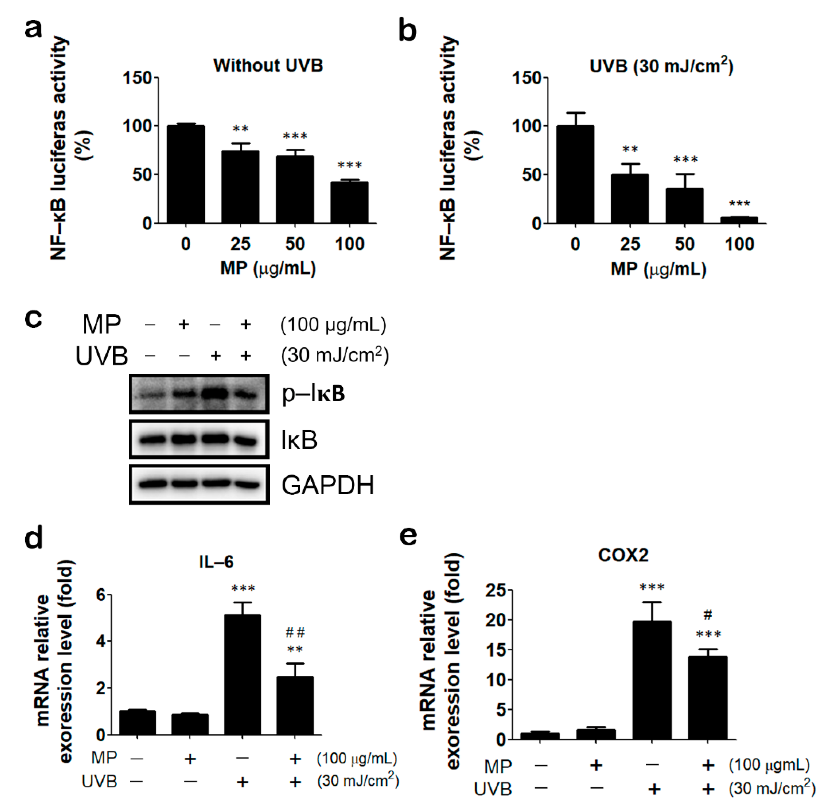 Antioxidants 11 01755 g004