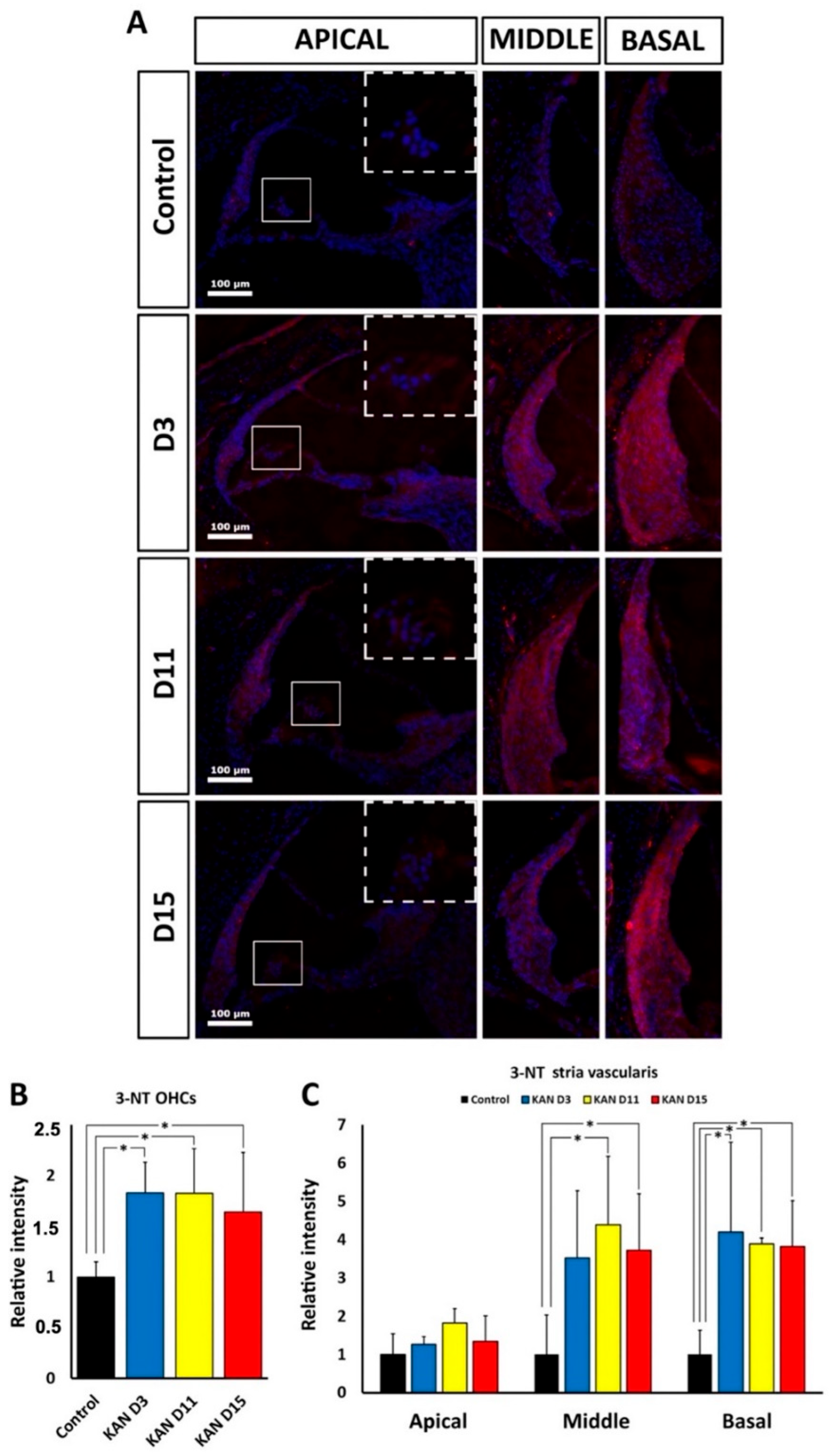 Antioxidants 11 01759 g006 550