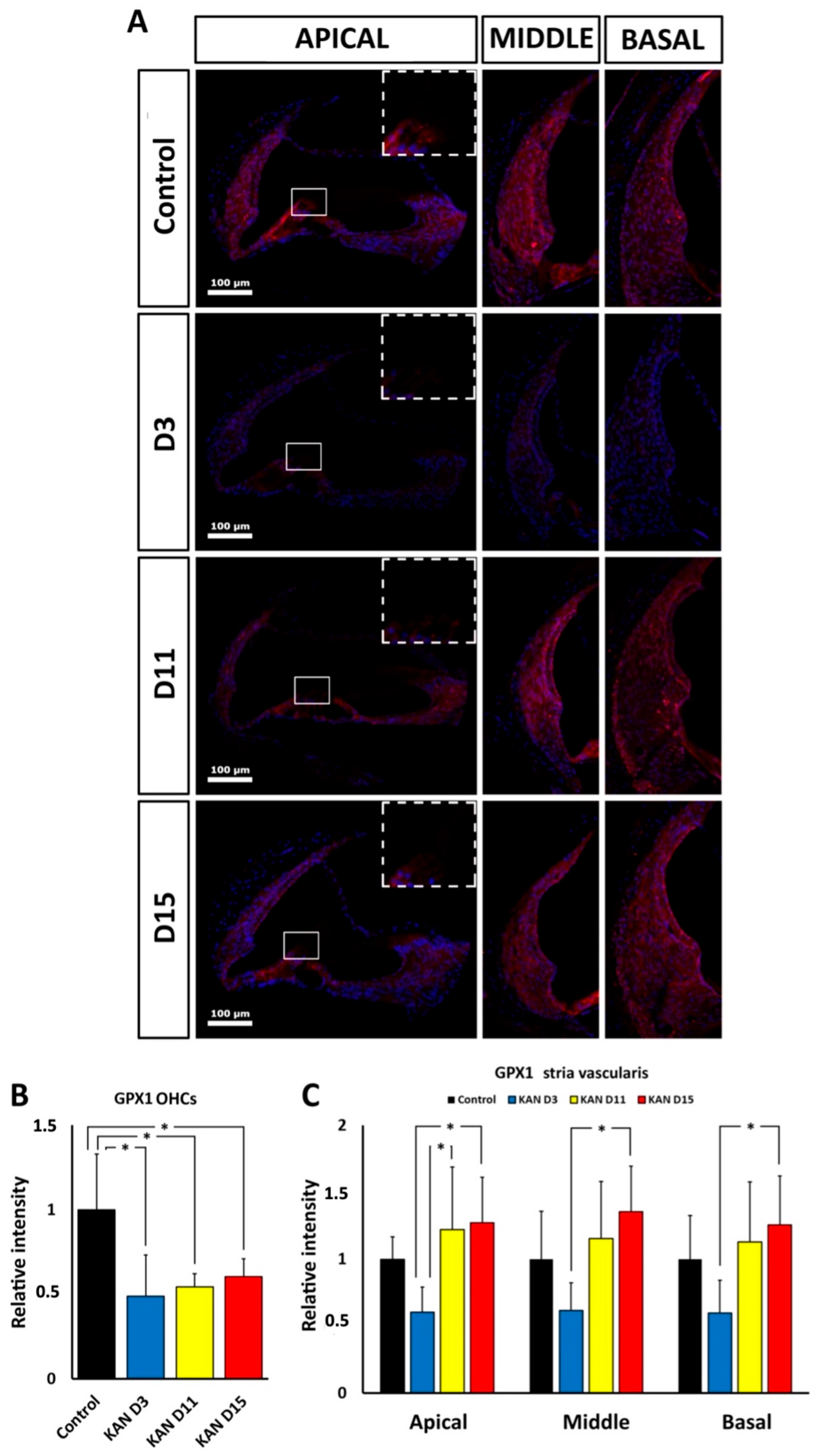 Antioxidants 11 01759 g010 550