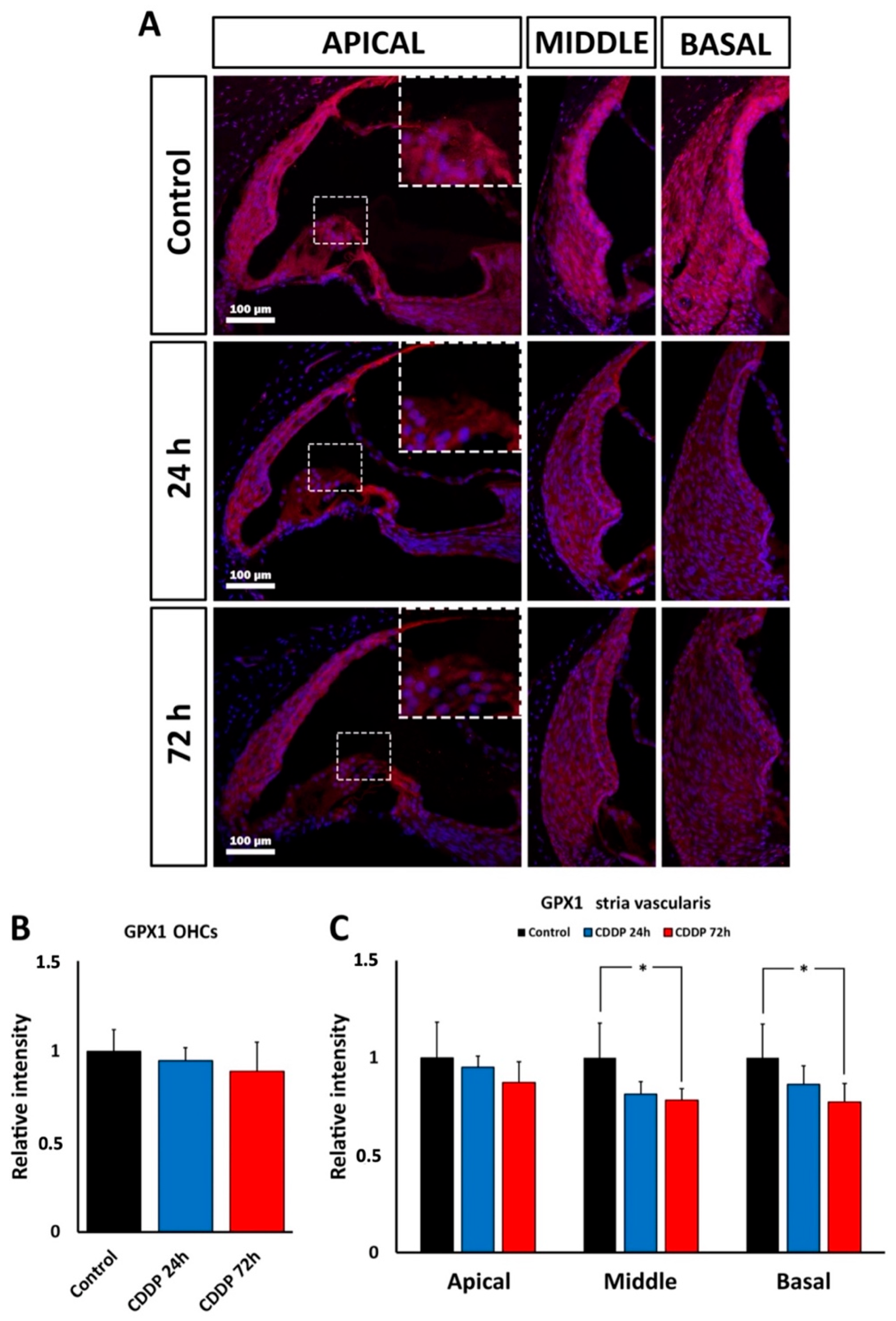 Antioxidants 11 01759 g011 550
