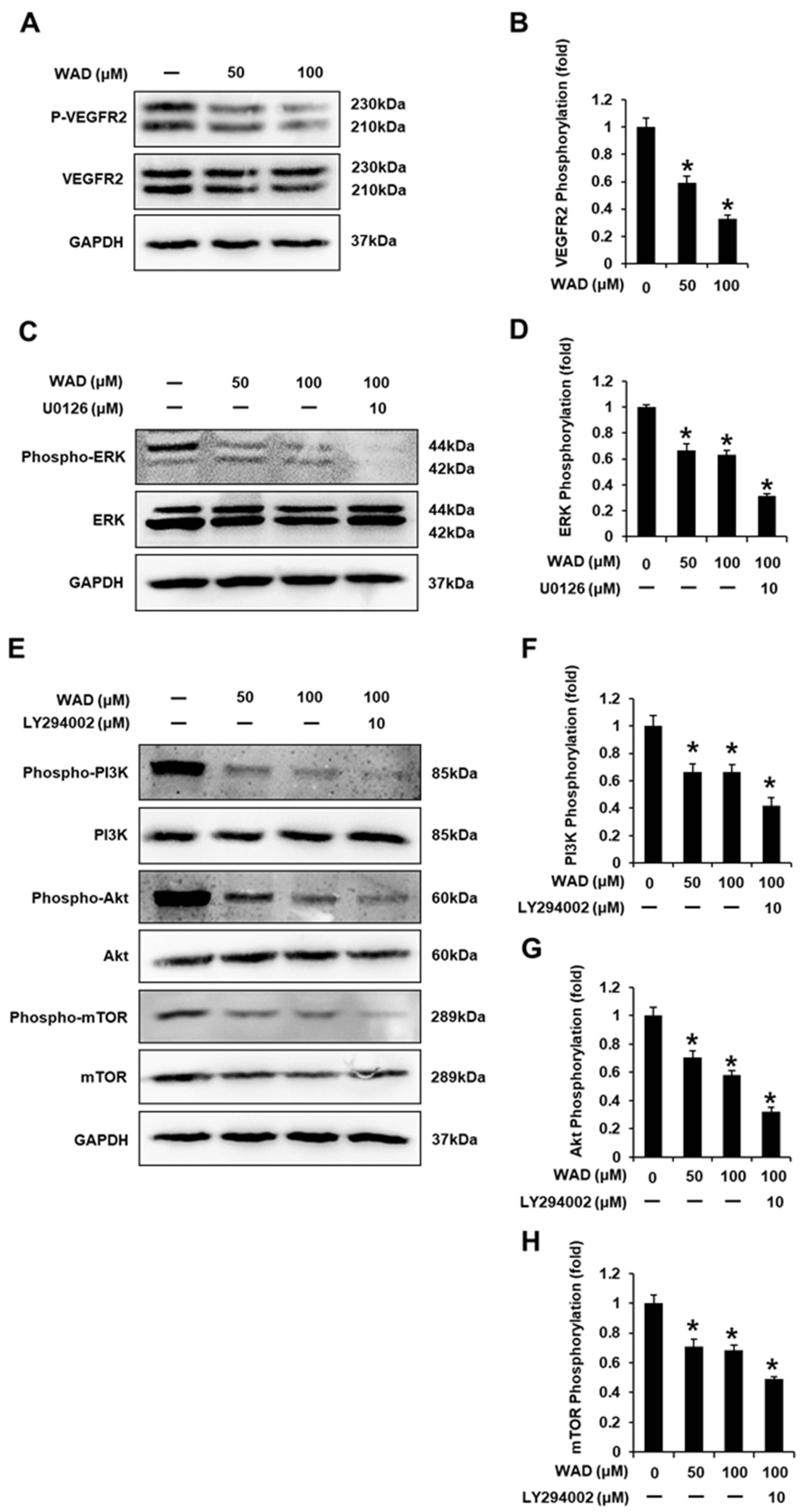 Antioxidants 11 01761 g010