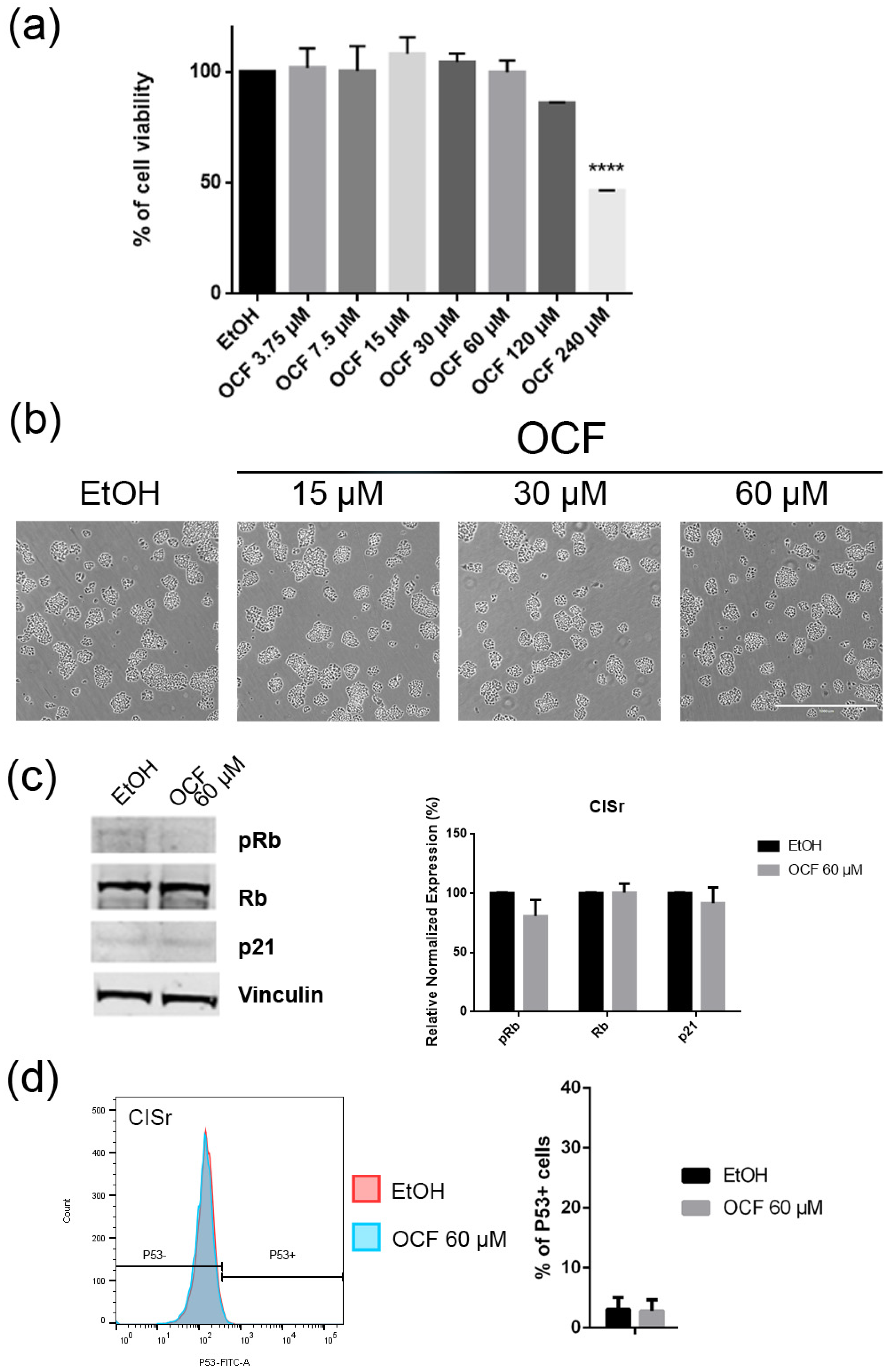 Antioxidants 11 01762 g008