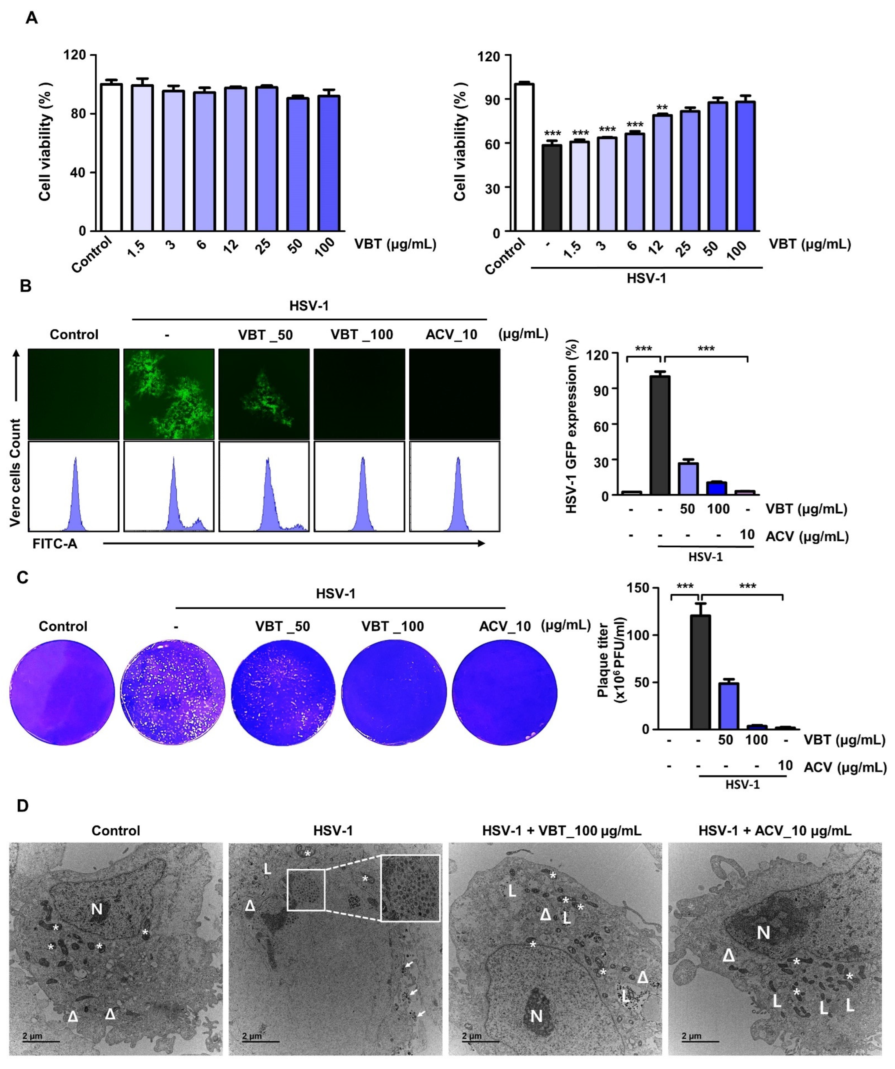 Herpes Simplex Virus-1 in the Brain: The Dark Side of a Sneaky Infection:  Trends in Microbiology