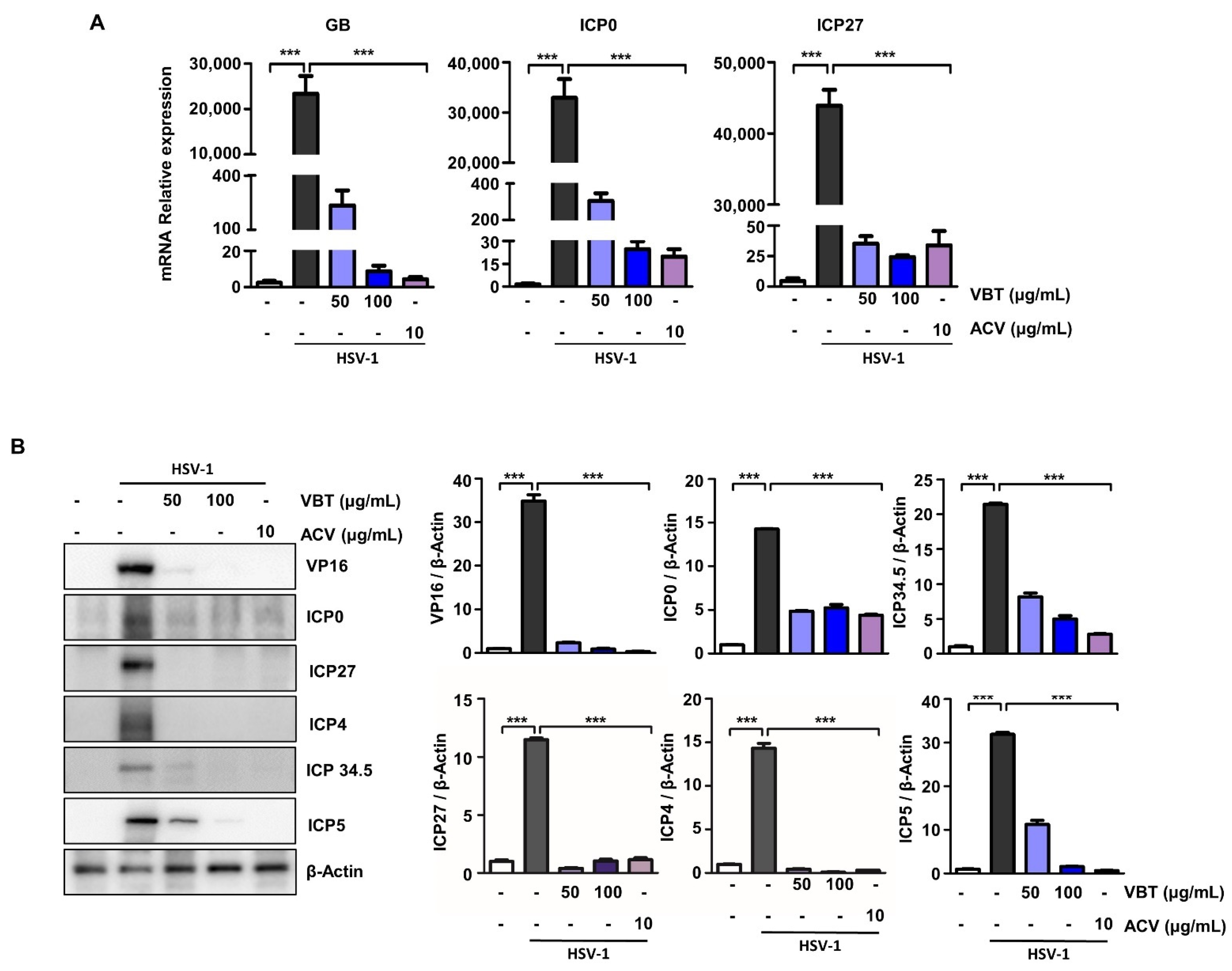 Antioxidants 11 01773 g004 550