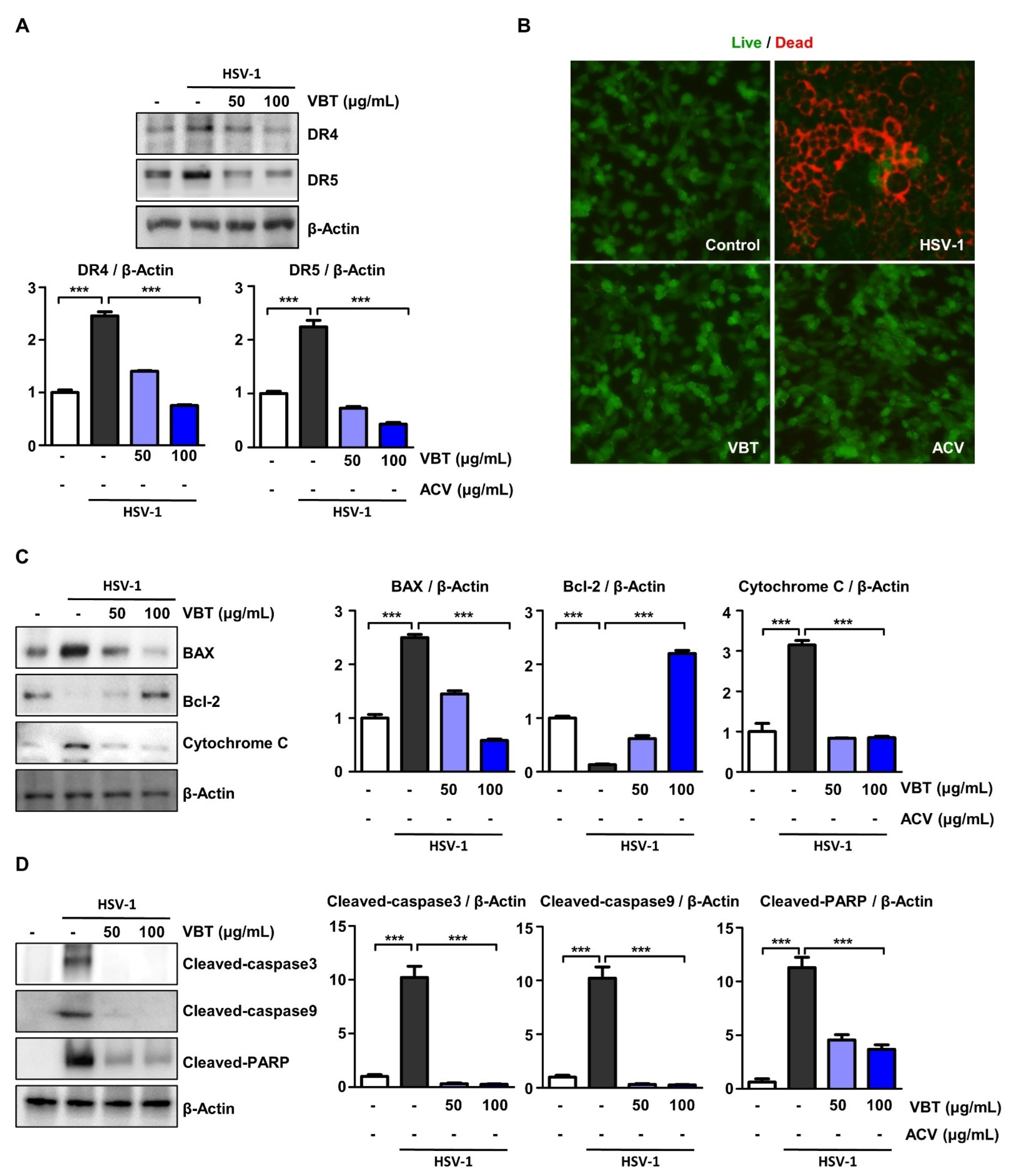Antioxidants 11 01773 g006 550