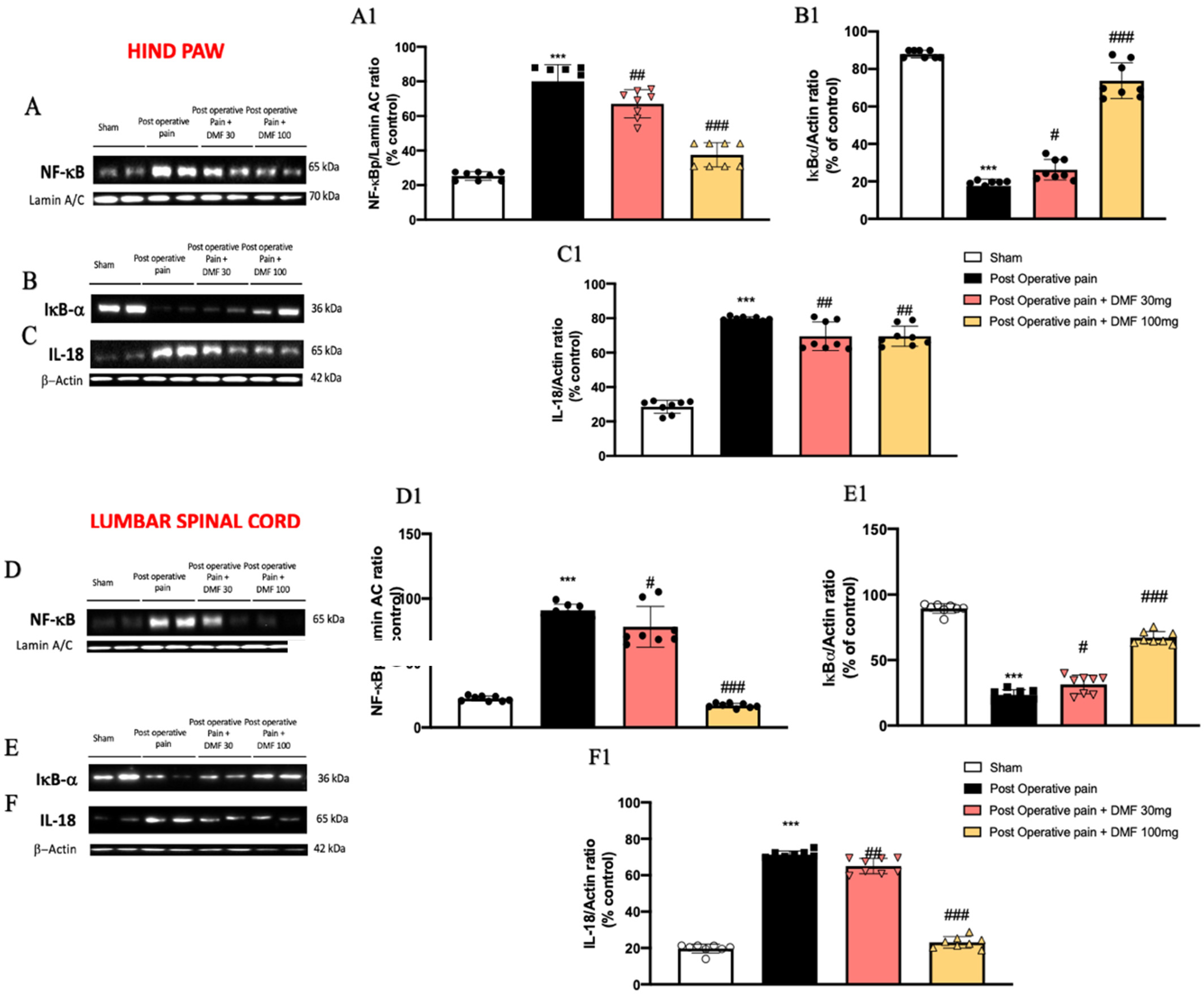 Antioxidants 11 01774 g003 550