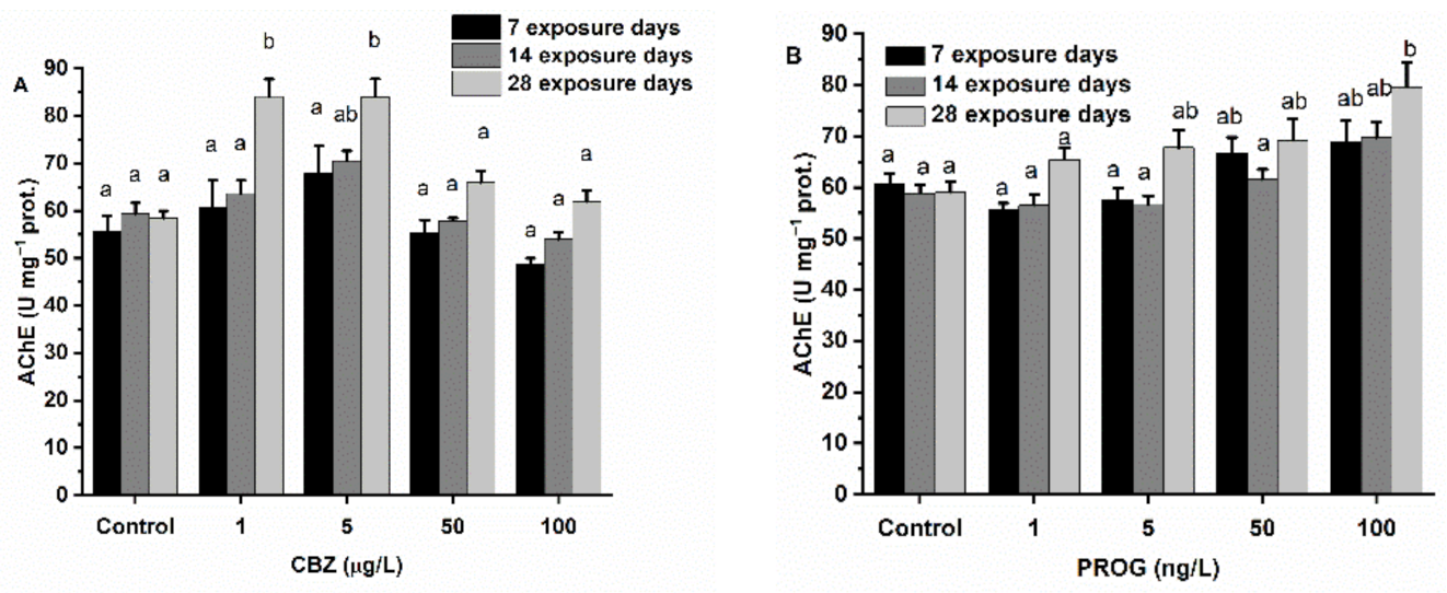 Antioxidants 11 01776 g002a Antioxidants 11 01776 g002a