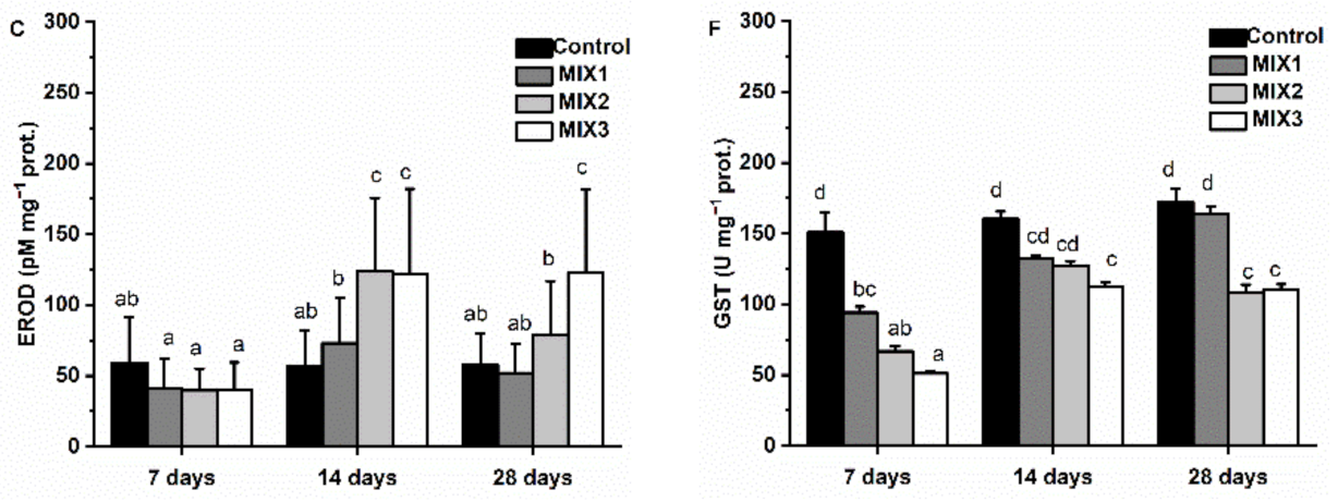 Antioxidants 11 01776 g003b Antioxidants 11 01776 g003b