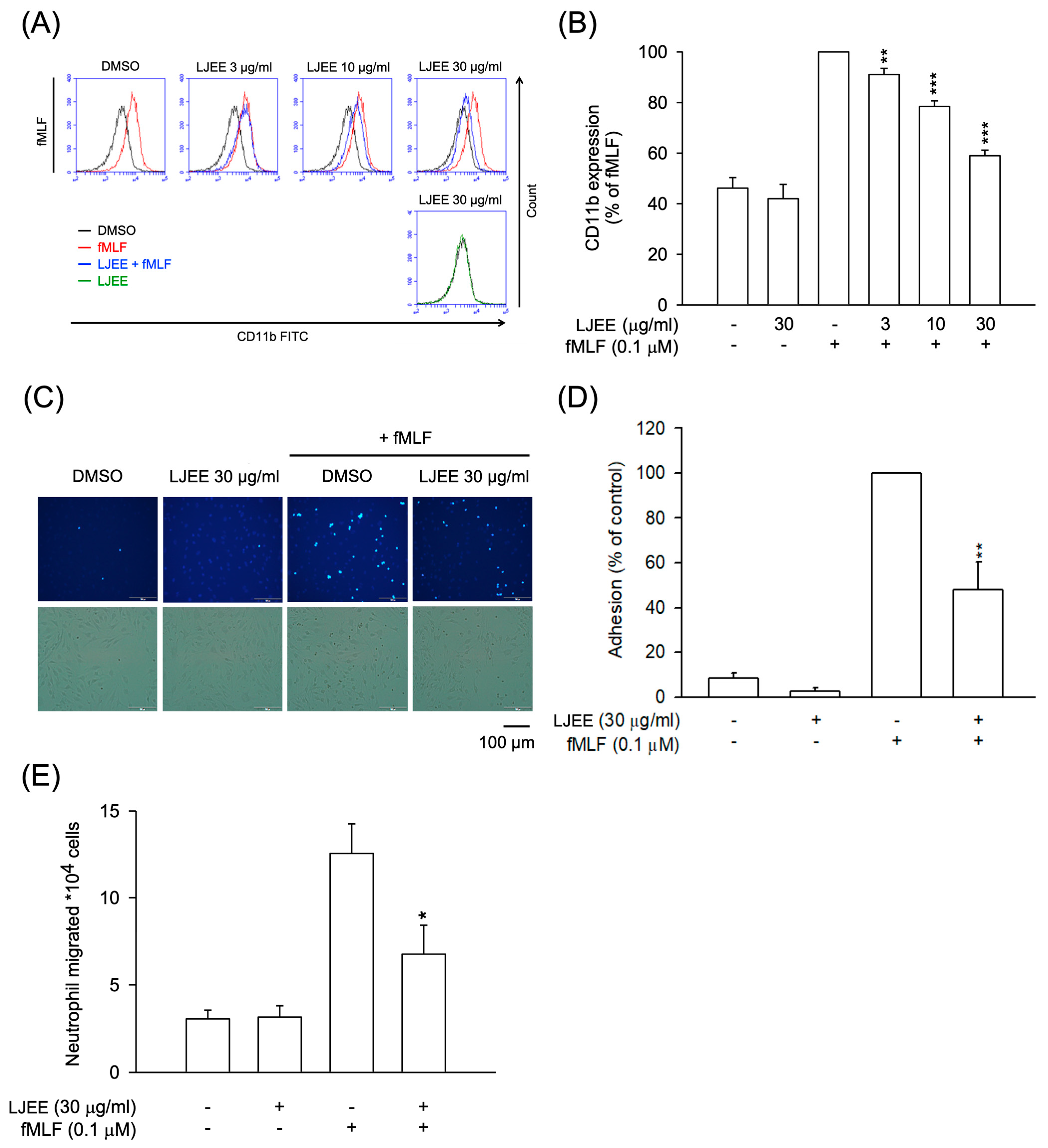 Antioxidants 11 01781 g002 Antioxidants 11 01781 g002
