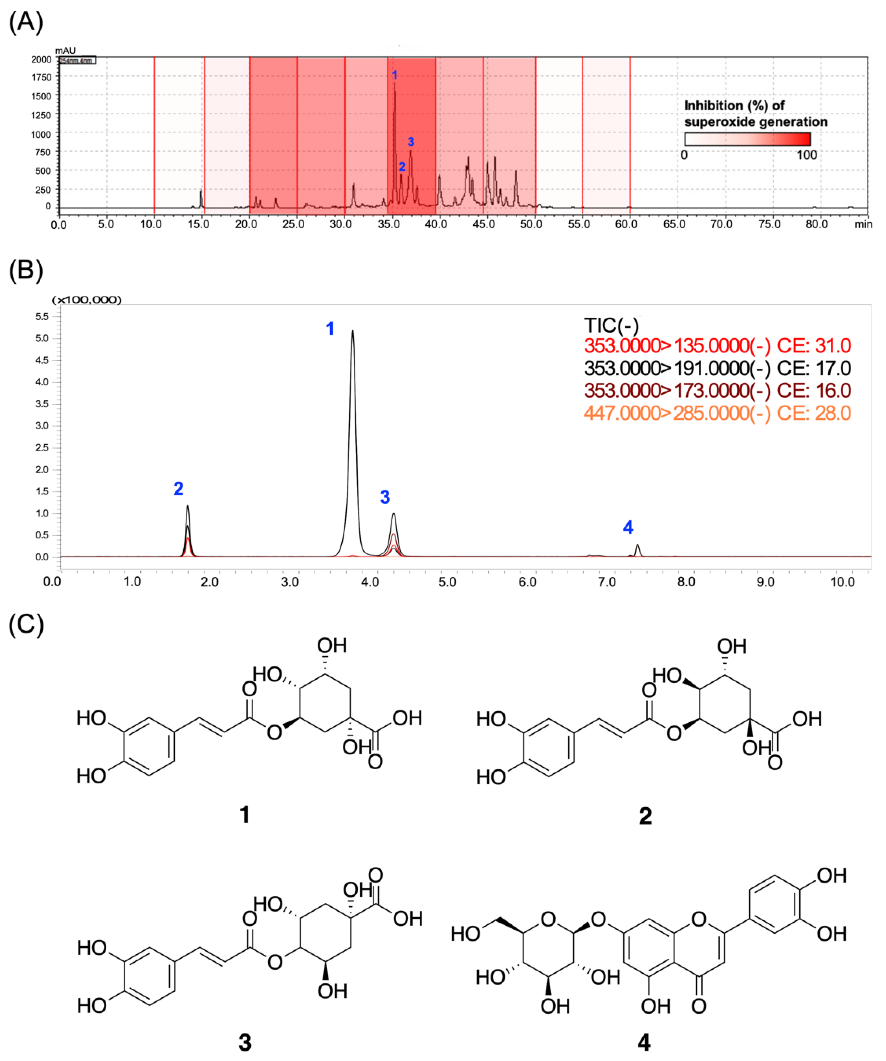 Antioxidants 11 01781 g006 Antioxidants 11 01781 g006
