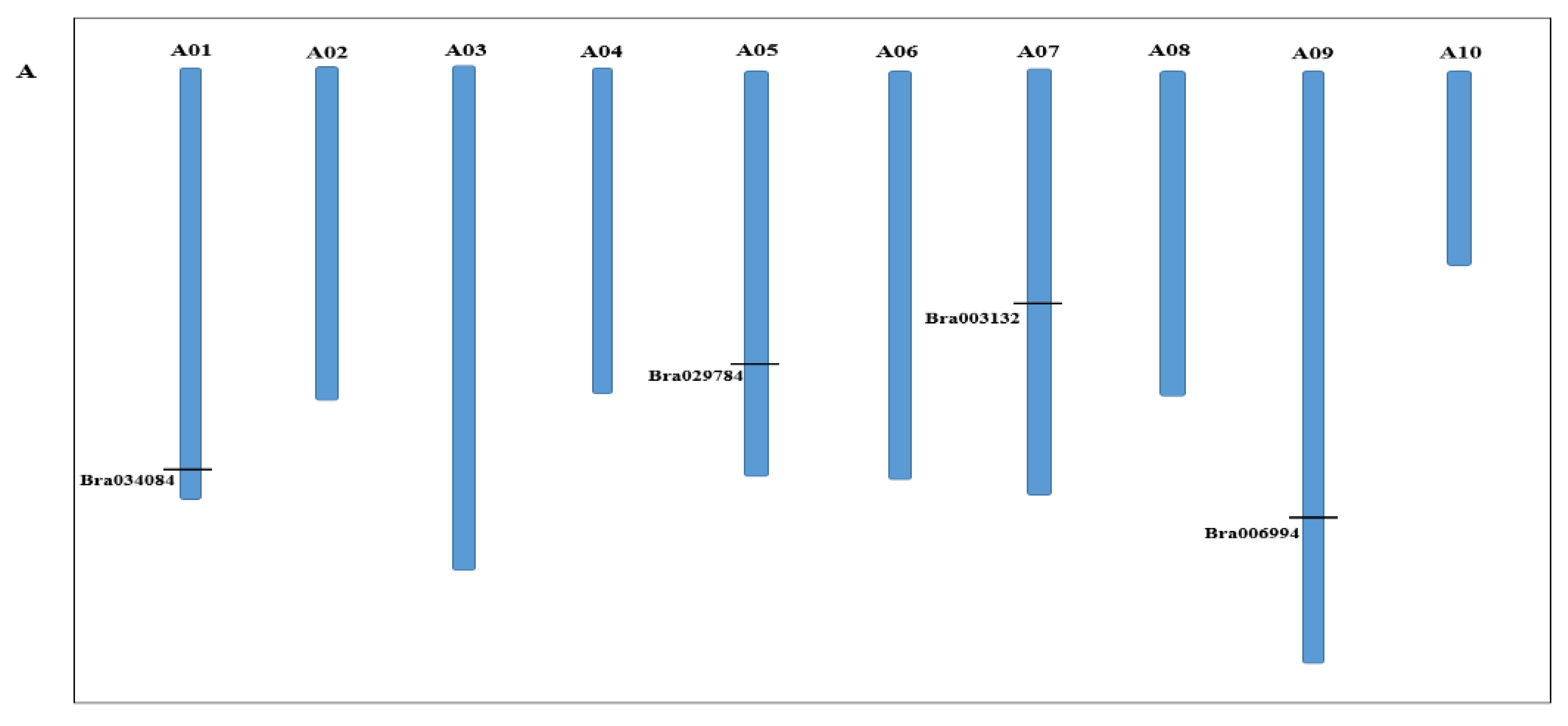 Antioxidants 11 01782 g001a 550