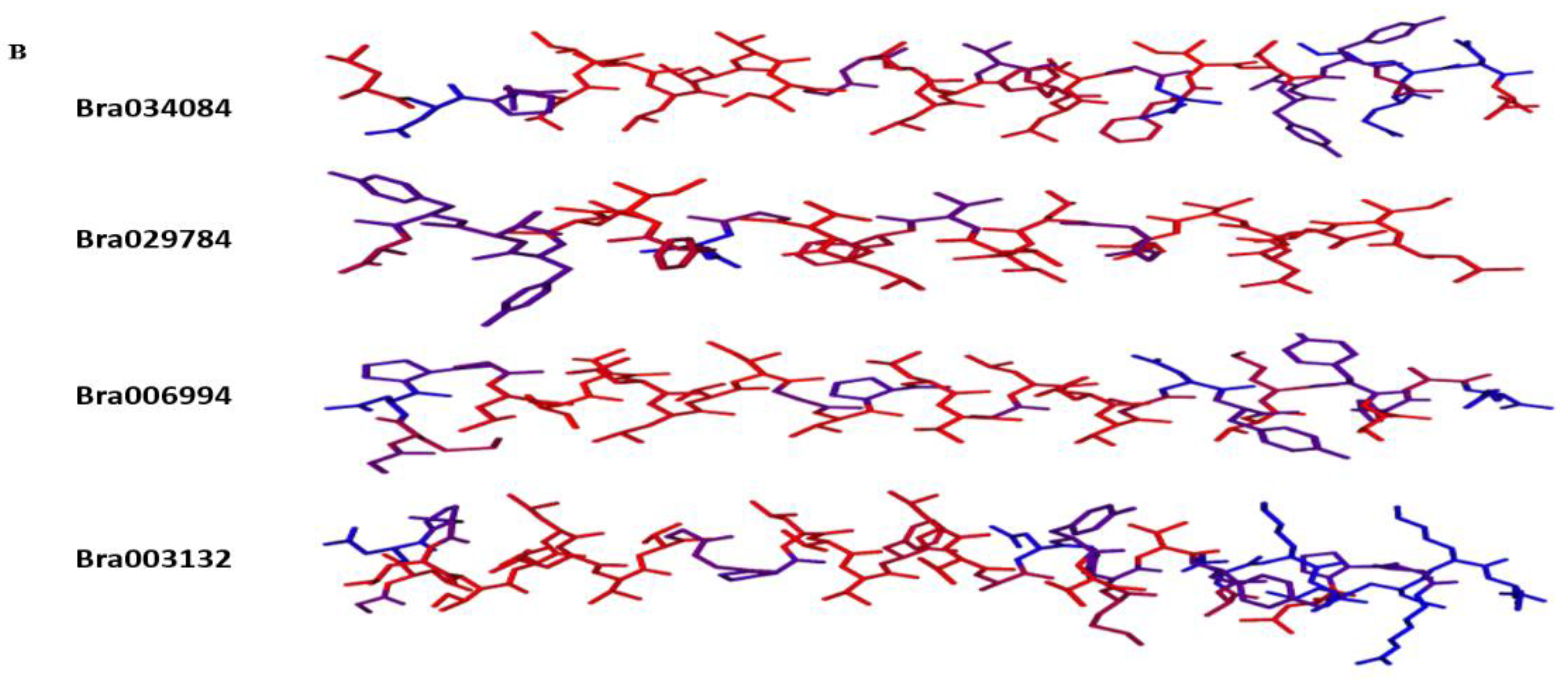 Antioxidants 11 01782 g001b 550