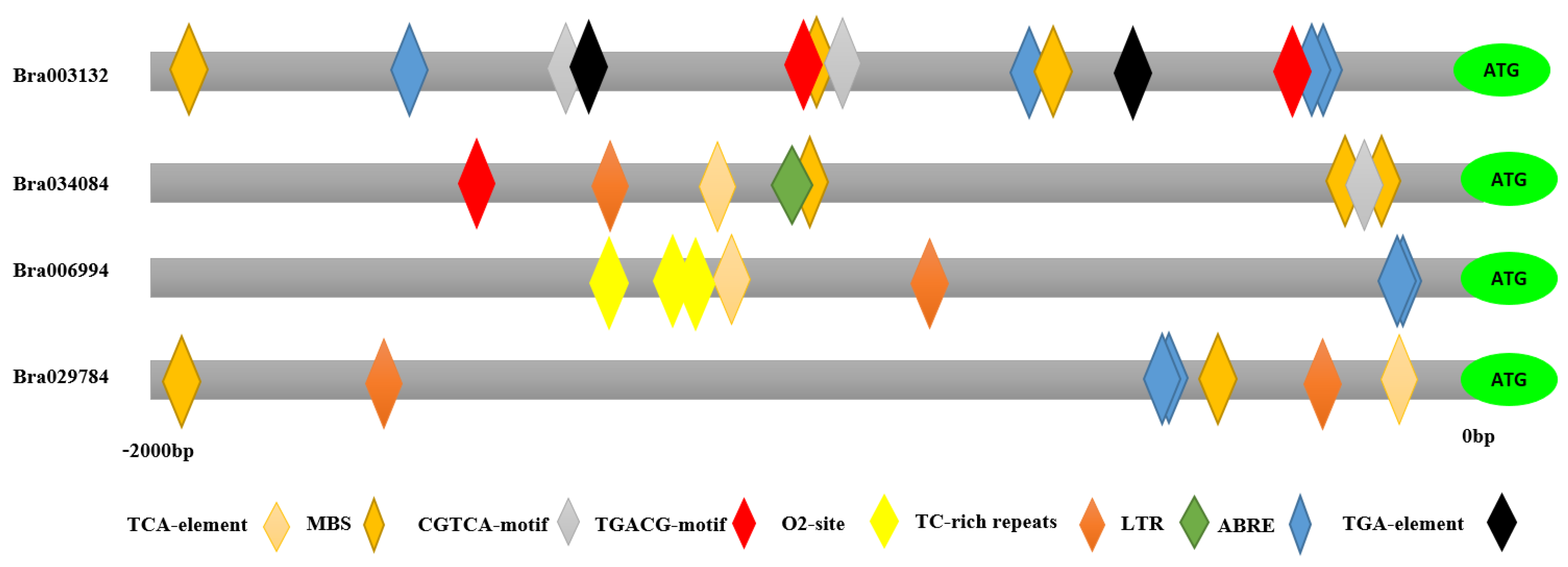 Antioxidants 11 01782 g003 550