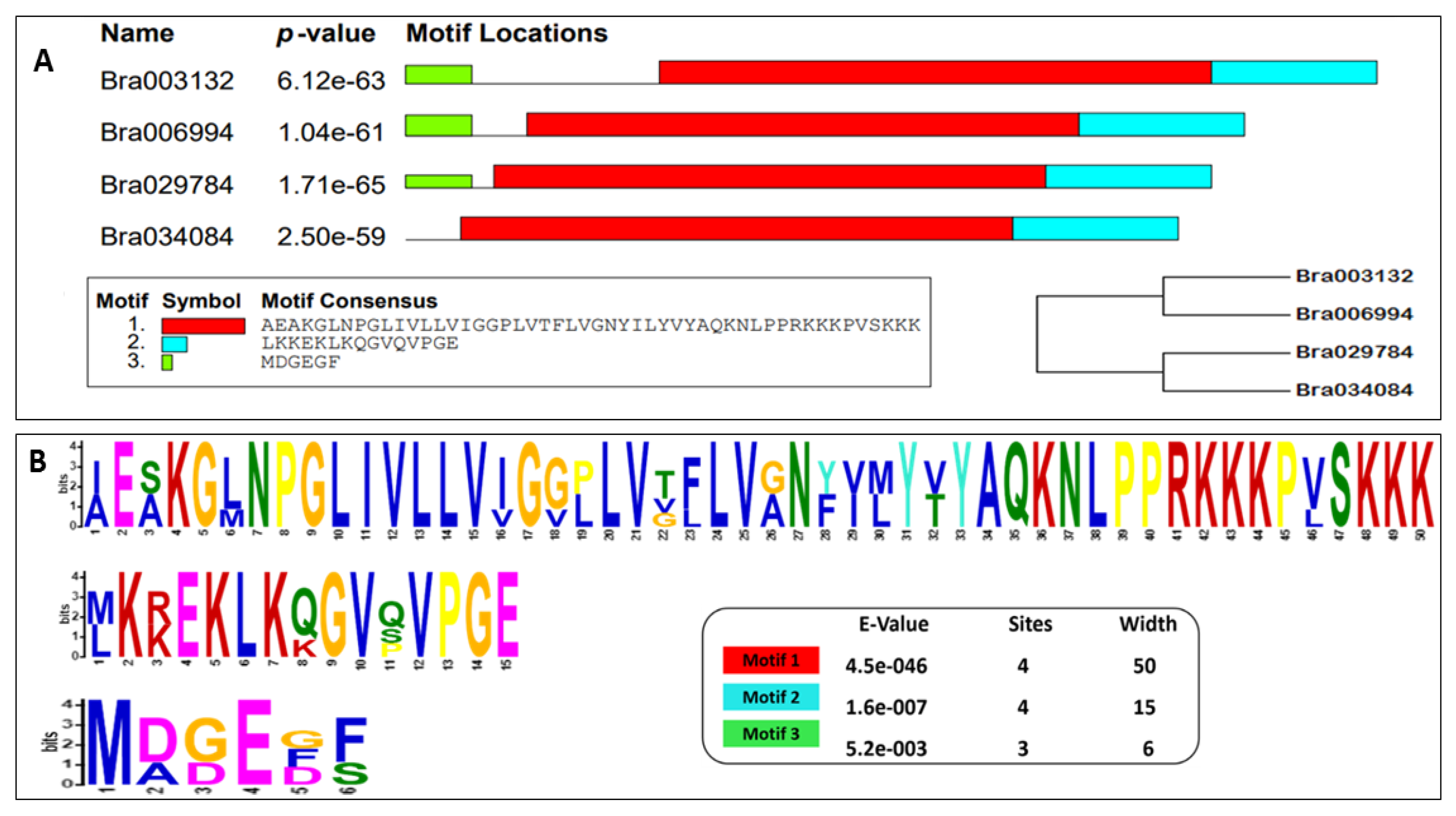 Antioxidants 11 01782 g004a 550