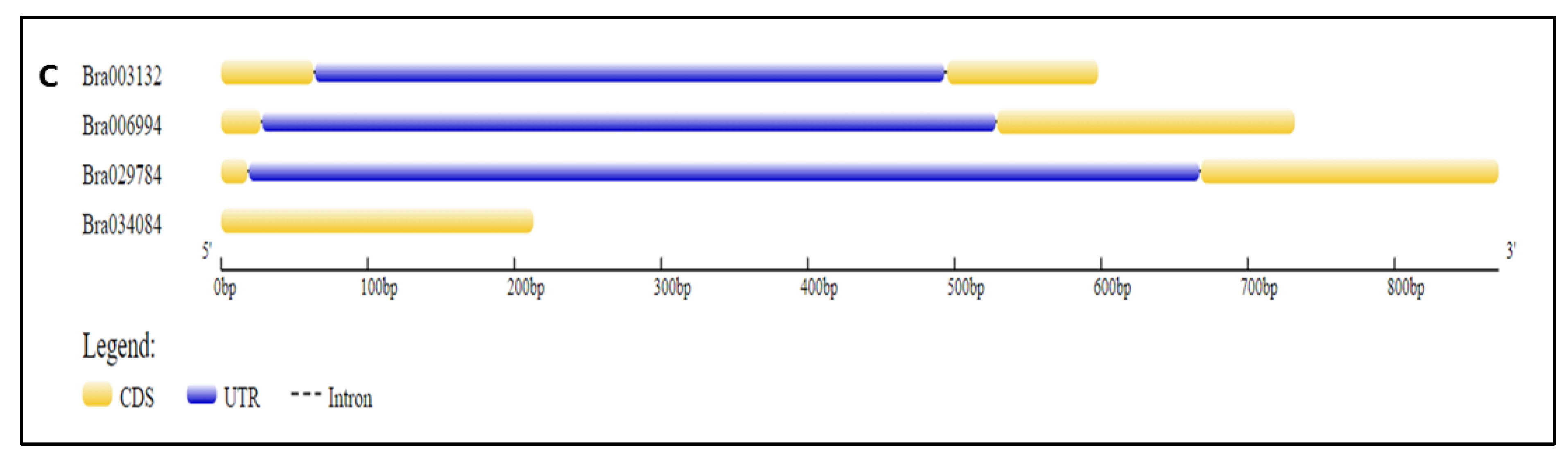 Antioxidants 11 01782 g004b 550