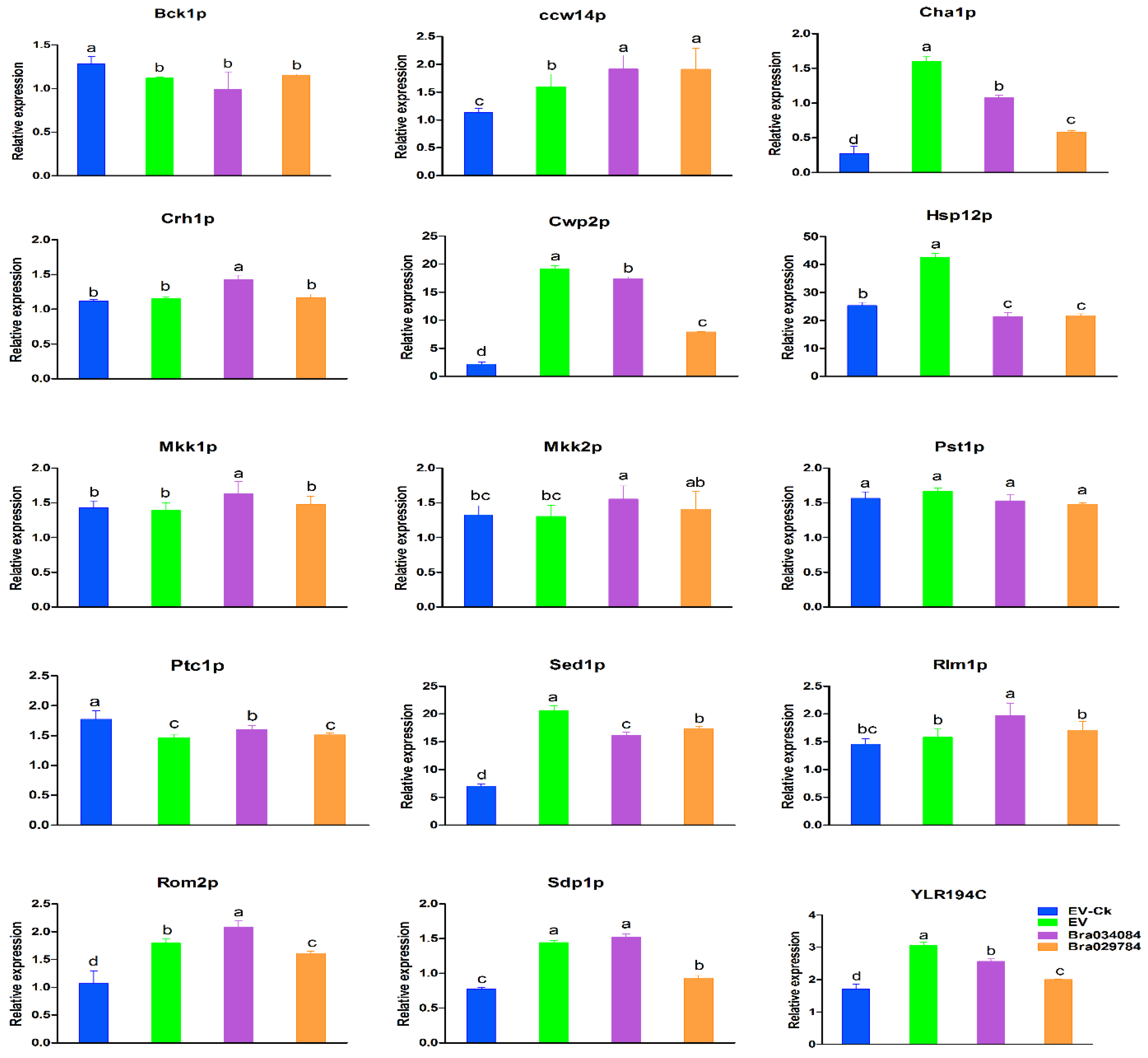 Antioxidants 11 01782 g010 550