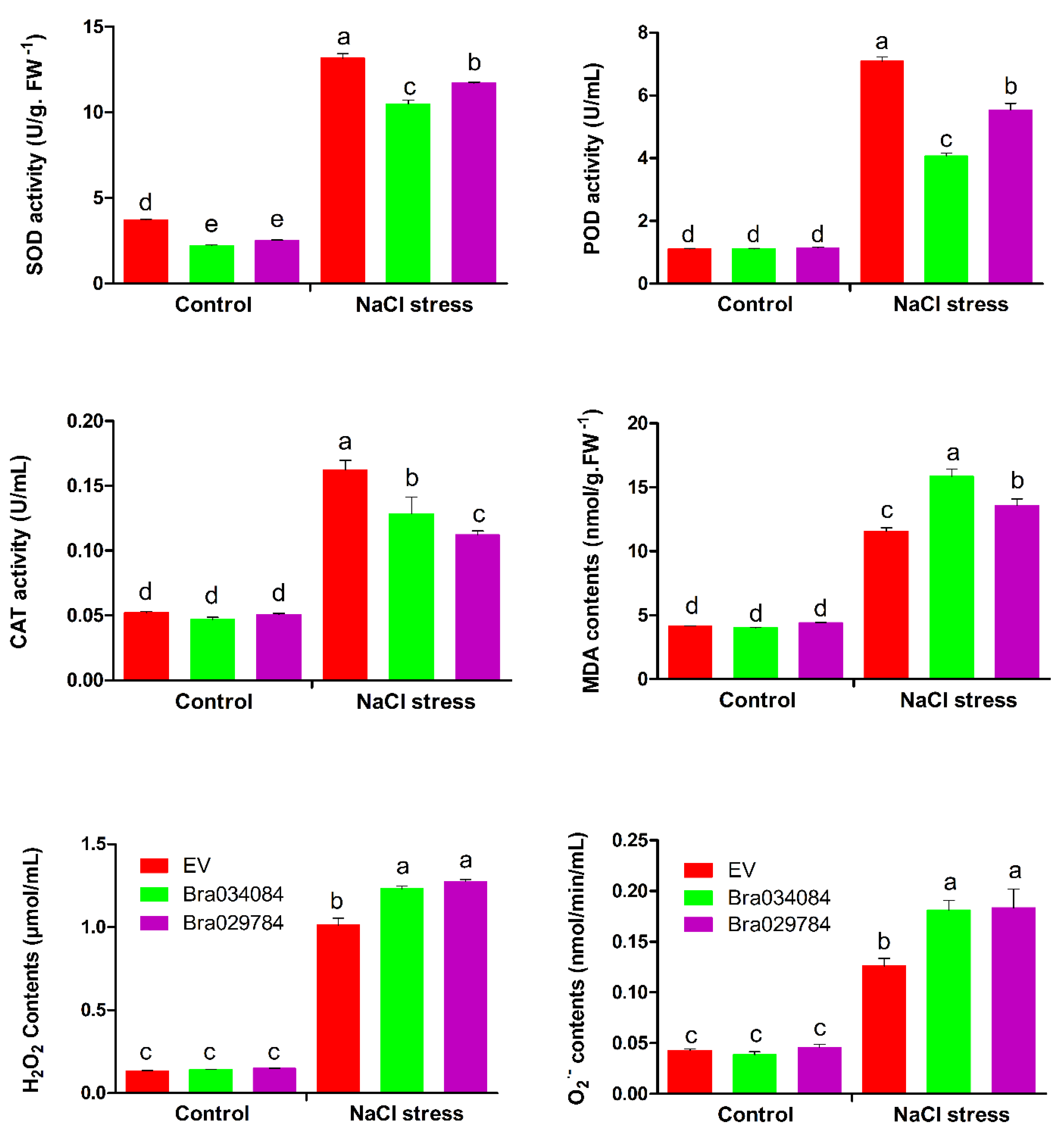 Antioxidants 11 01782 g011 550