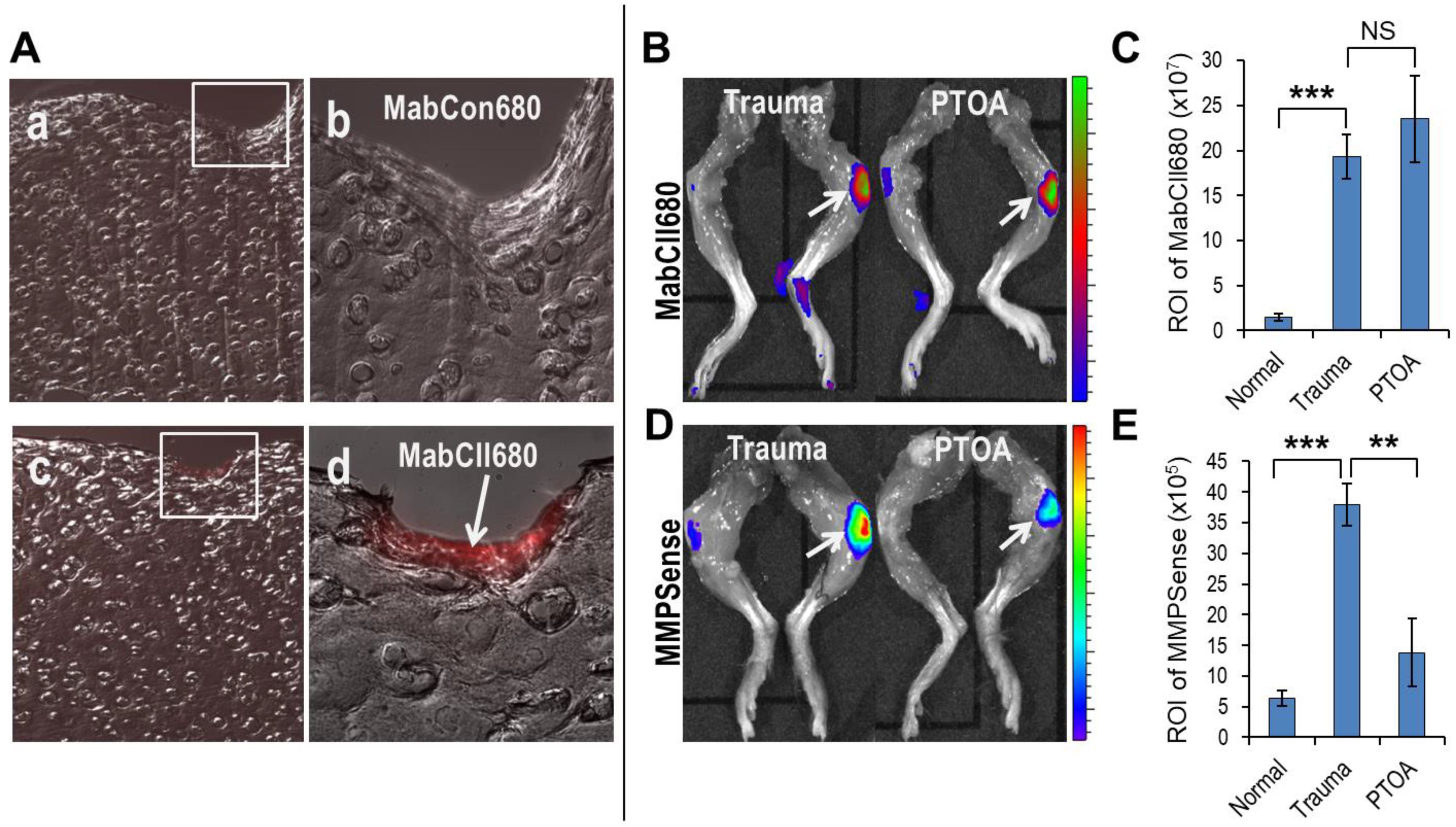 Antioxidants 11 01783 g002 Antioxidants 11 01783 g002