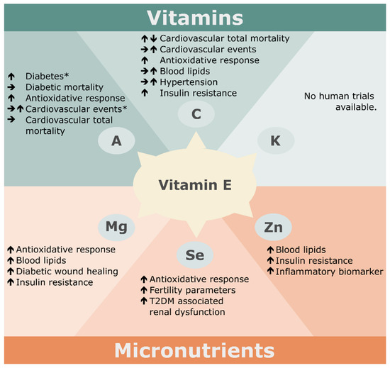 Antioxidants Free FullText Vitamin E and Metabolic Health