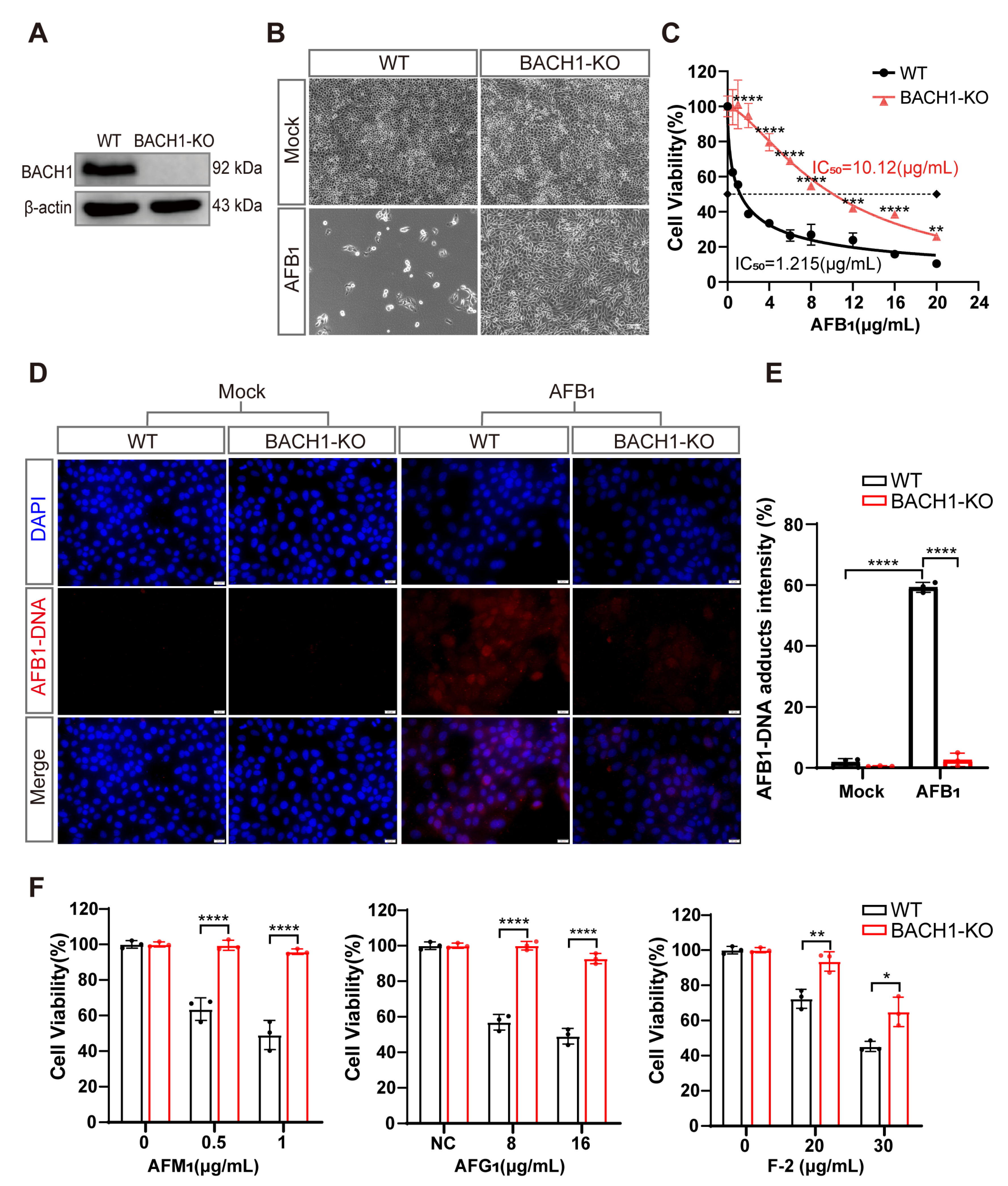 Antioxidants 11 01787 g002 550