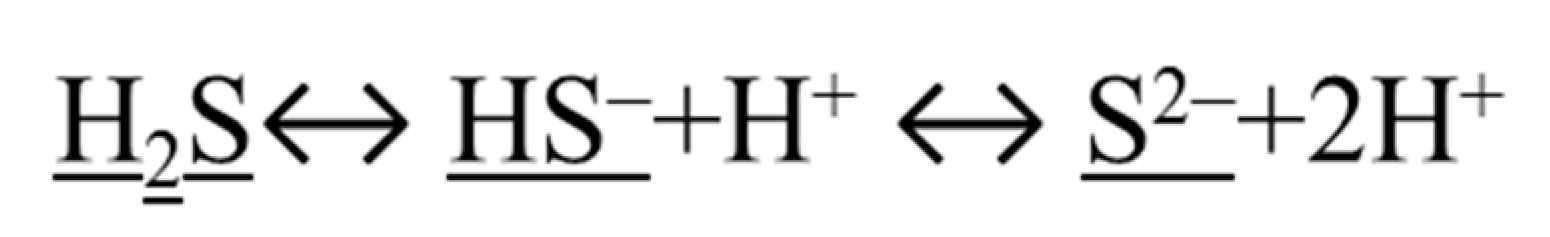 Antioxidants 11 01788 g002