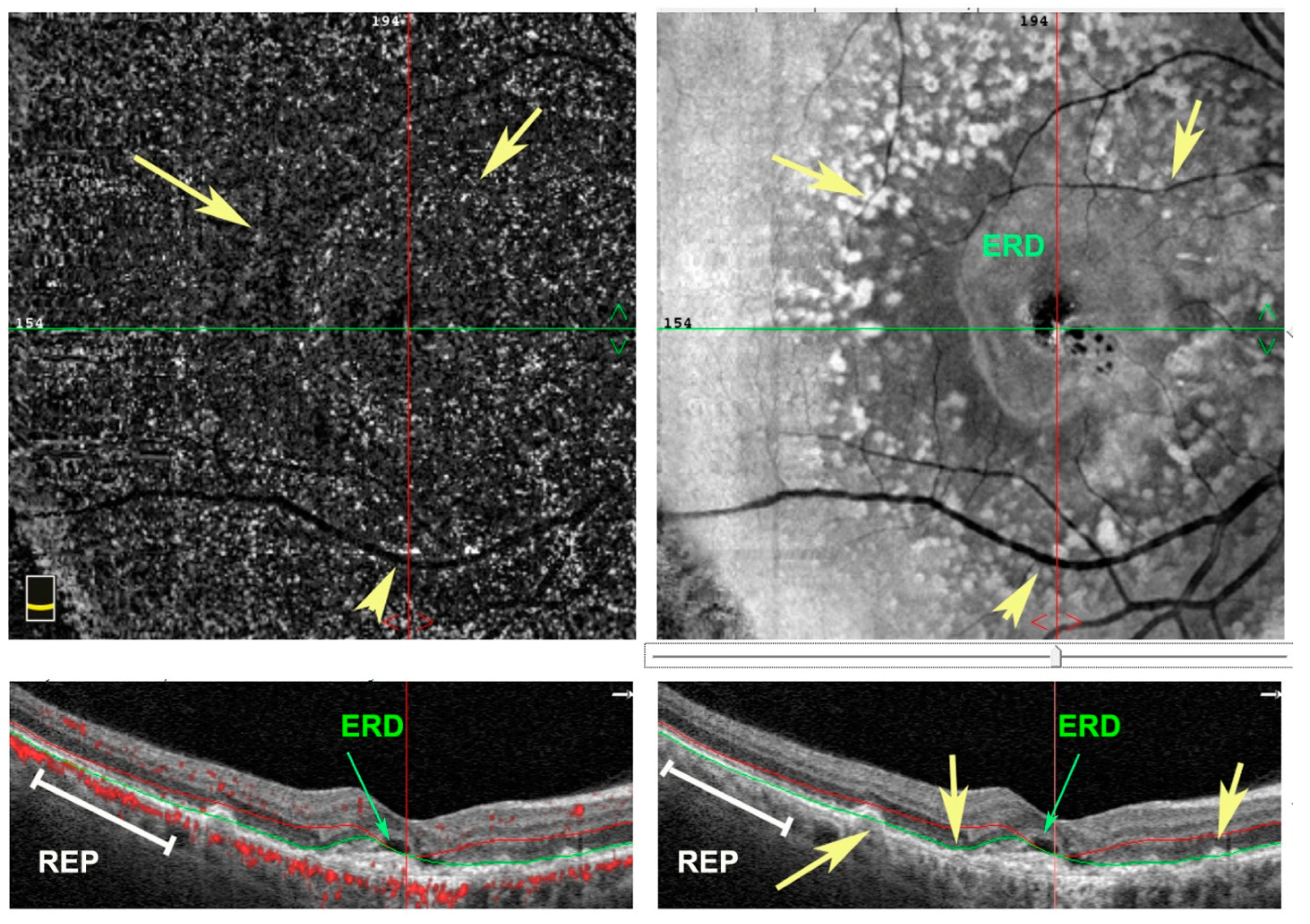 Antioxidants 11 01790 g001 Antioxidants 11 01790 g001