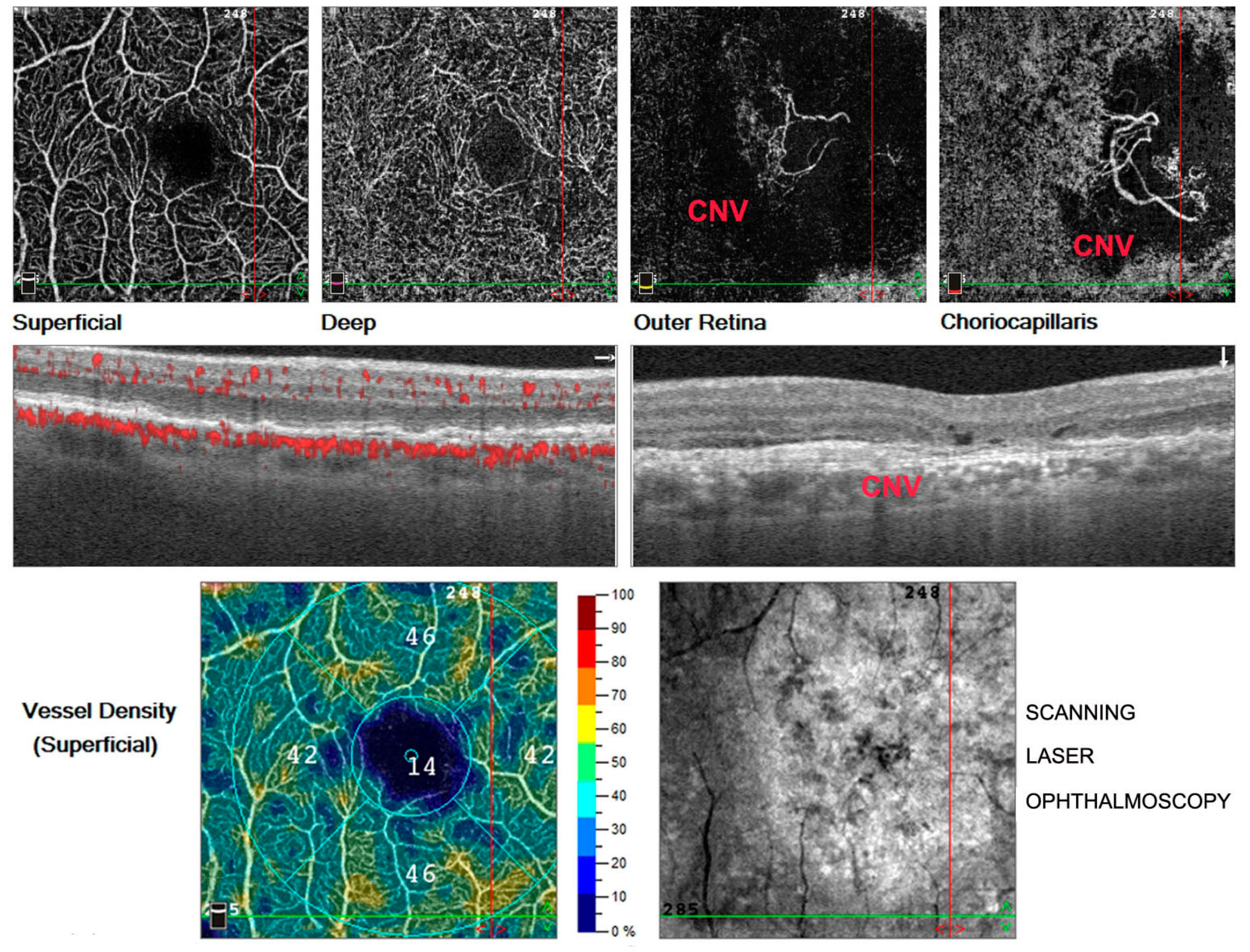 Antioxidants 11 01790 g002 Antioxidants 11 01790 g002