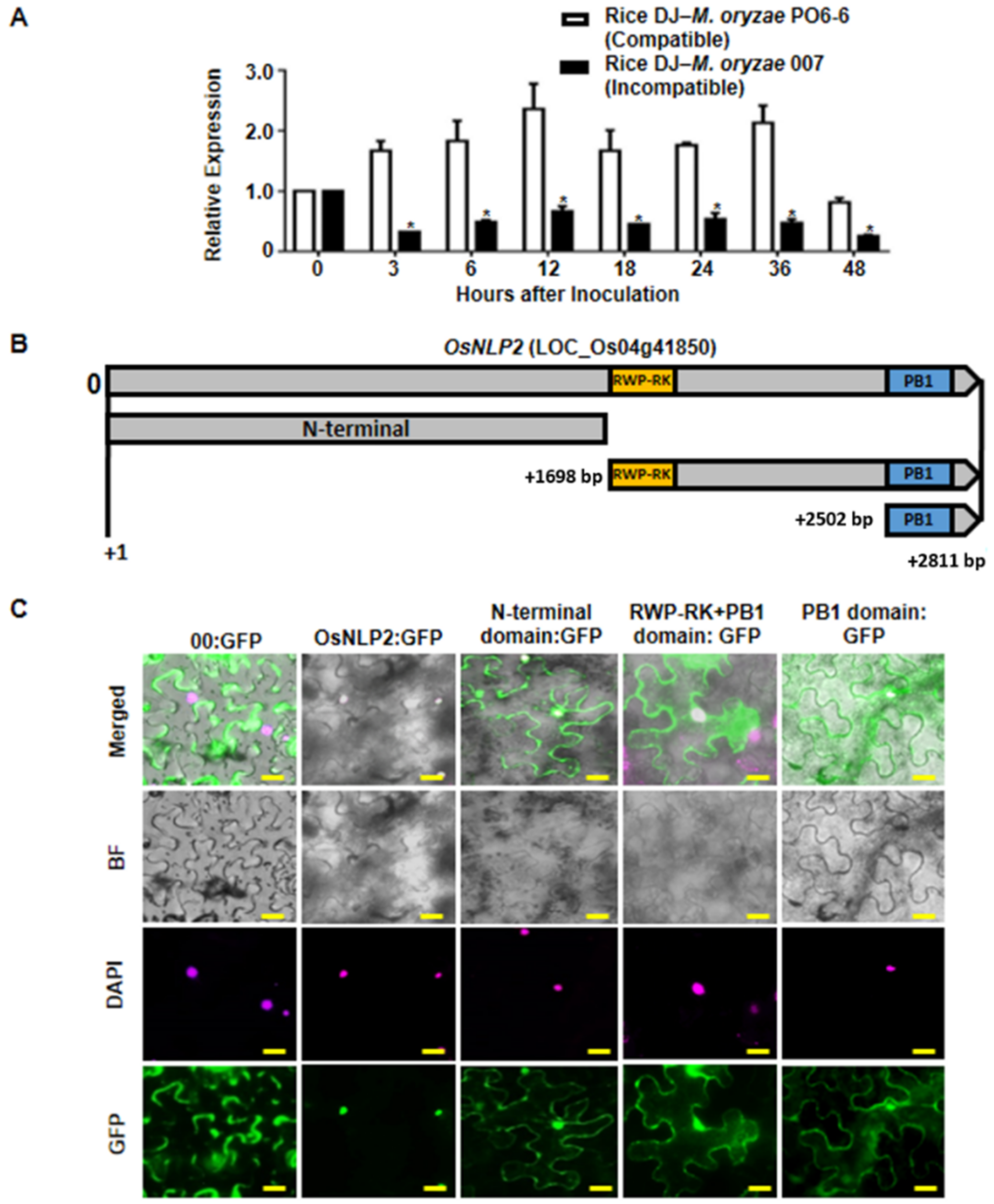 Antioxidants 11 01795 g001 550