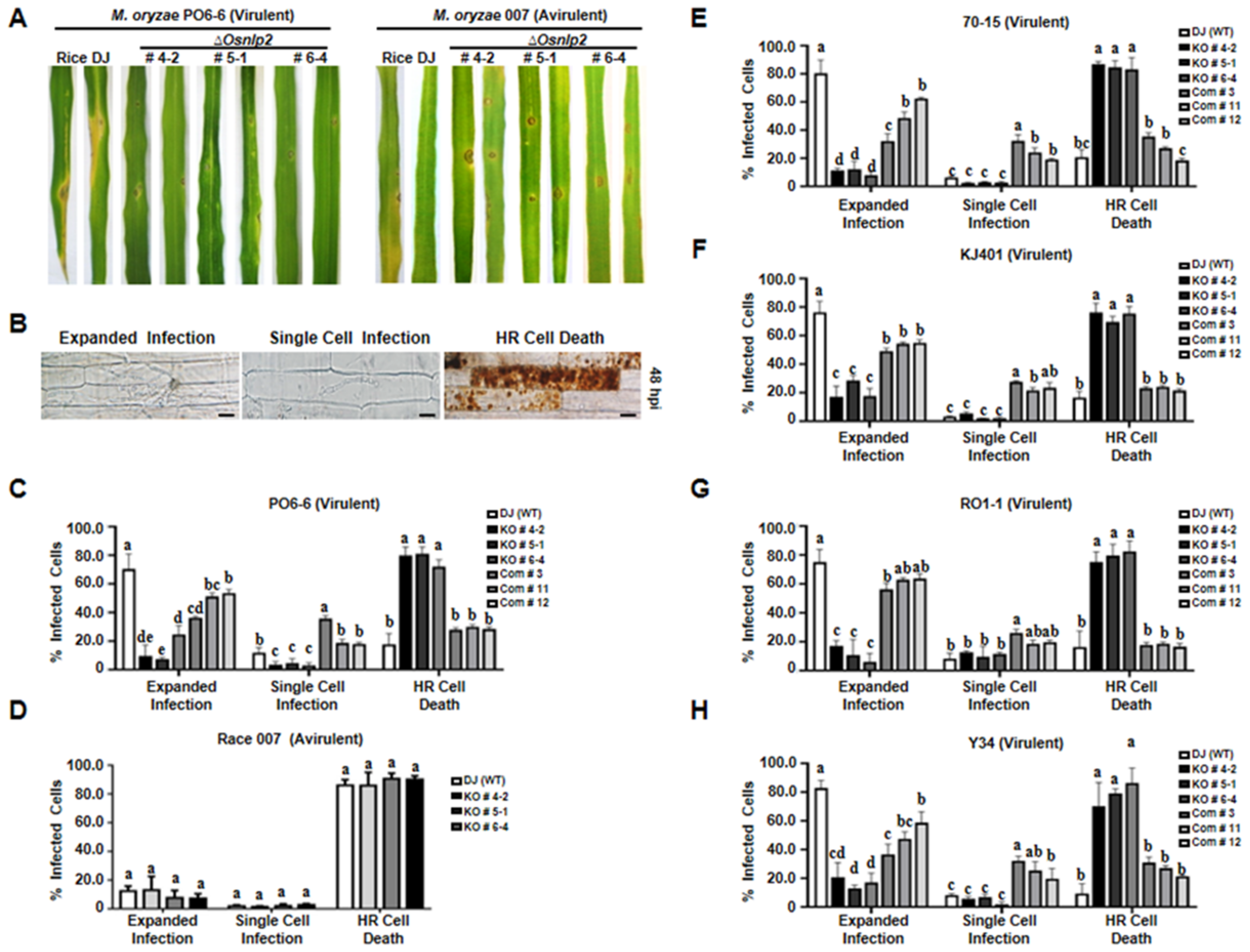 Antioxidants 11 01795 g002 550