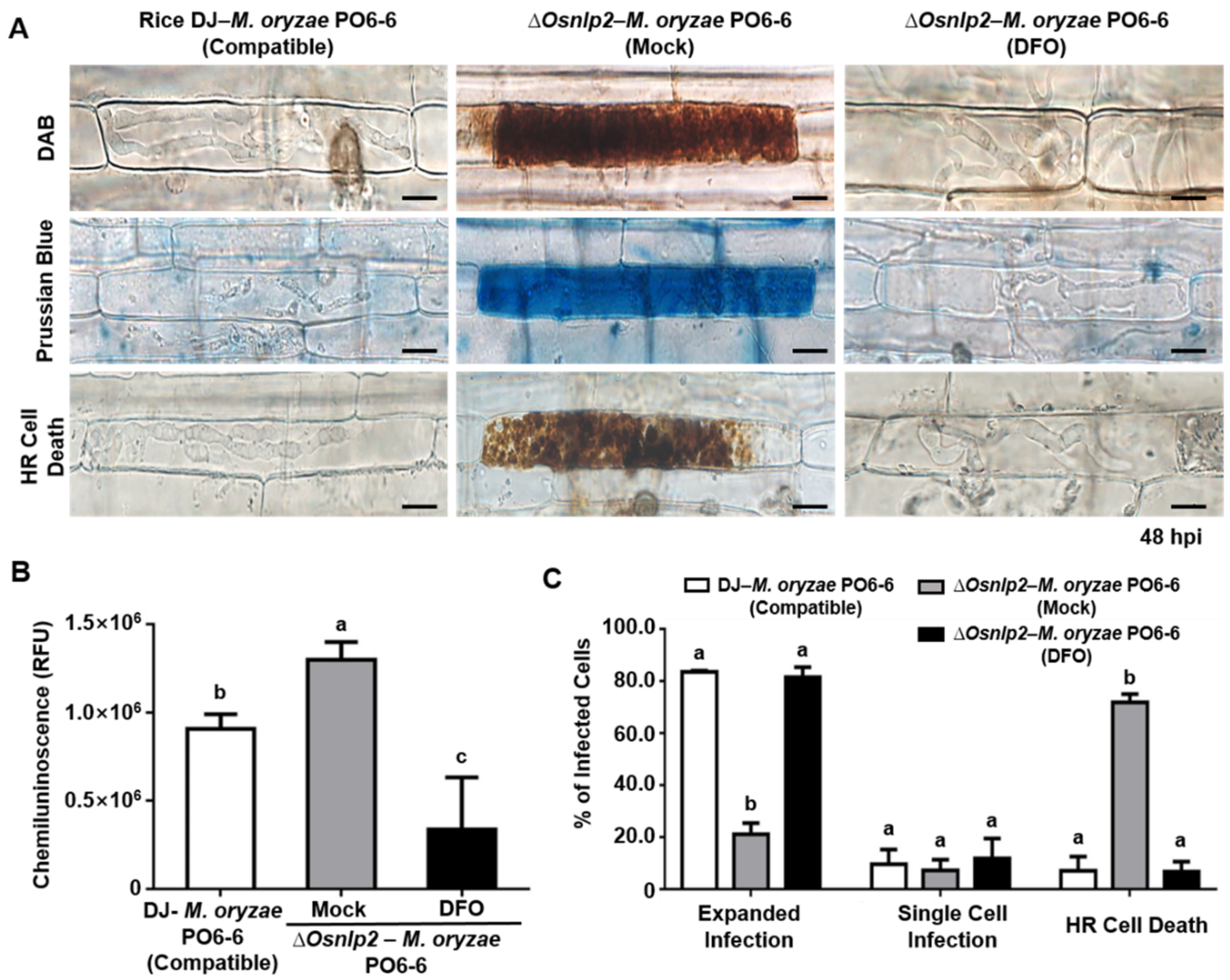Antioxidants 11 01795 g004 550